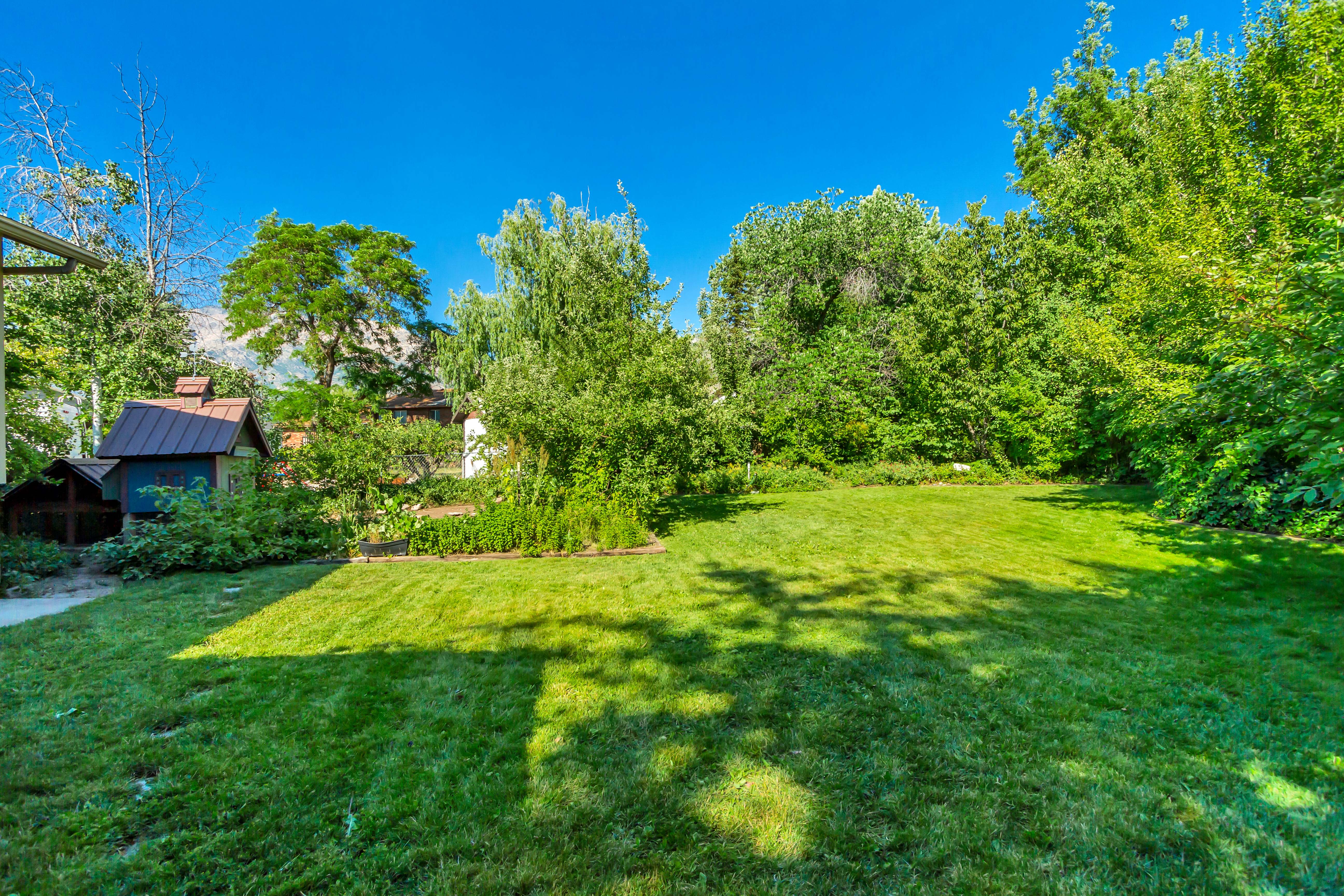 Expansive green lawn with surrounding mature trees and foliage