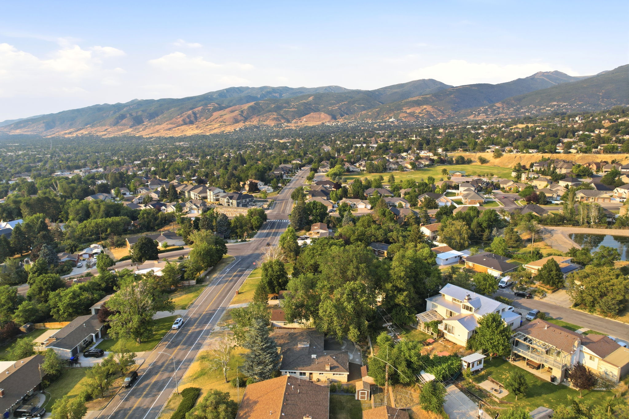 Expansive suburban setting with established residences and mature tree cover