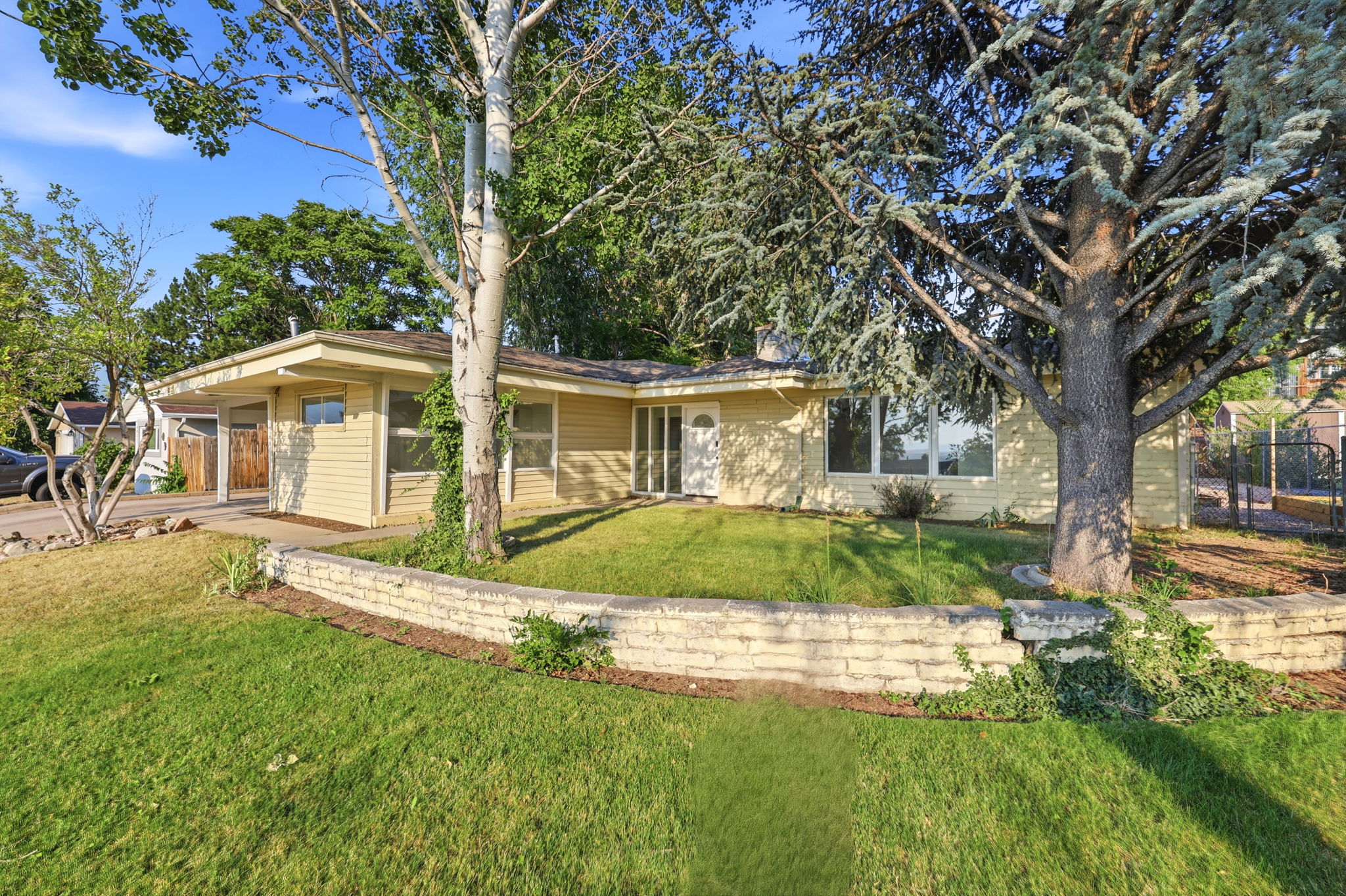 Ranch-style residence featuring light-colored siding, a prominent front lawn, and mature trees