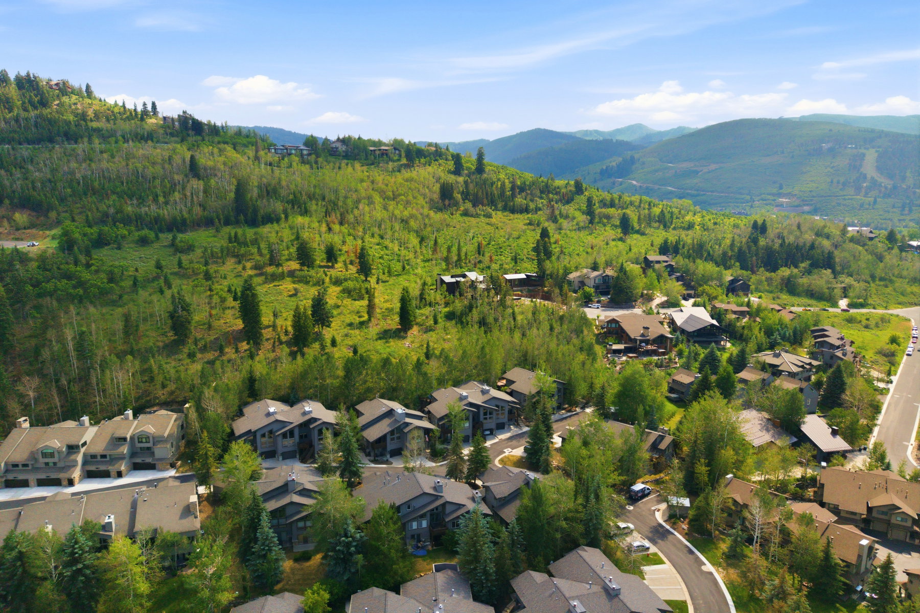 Lush mountainside setting featuring a collection of properties amidst mature trees and paved roads