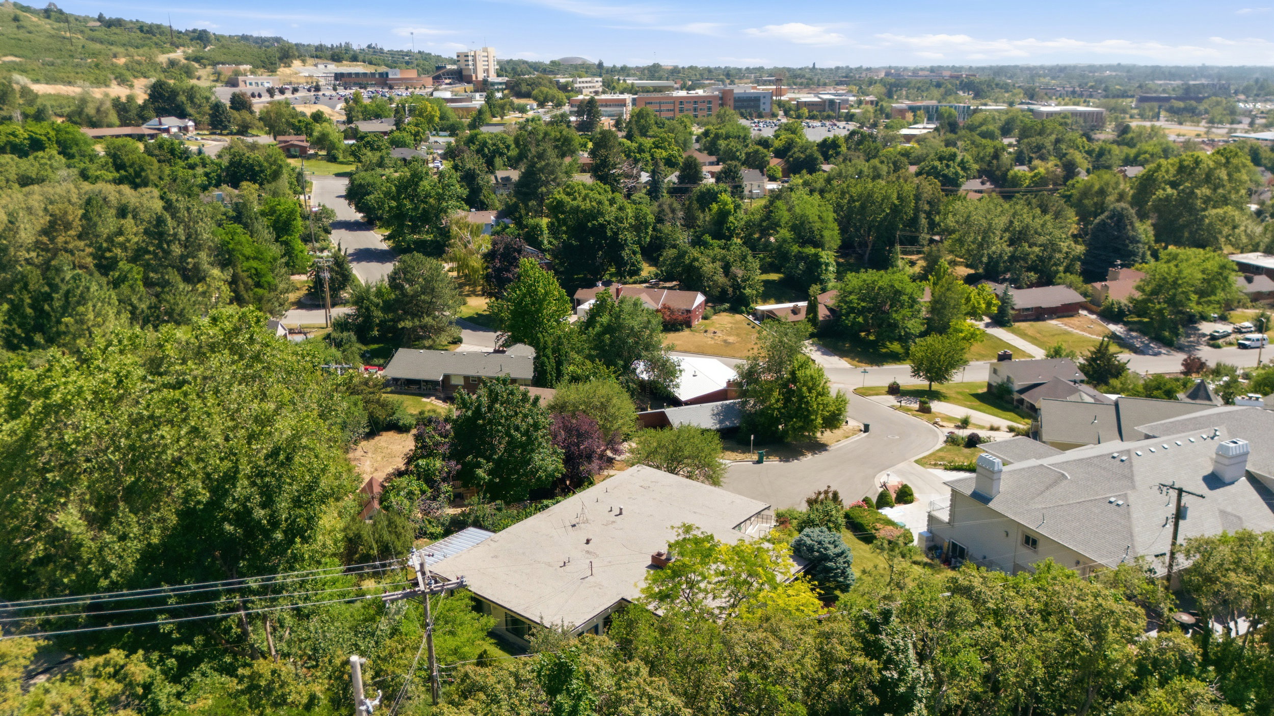 Residential area featuring mature trees and a clear sky