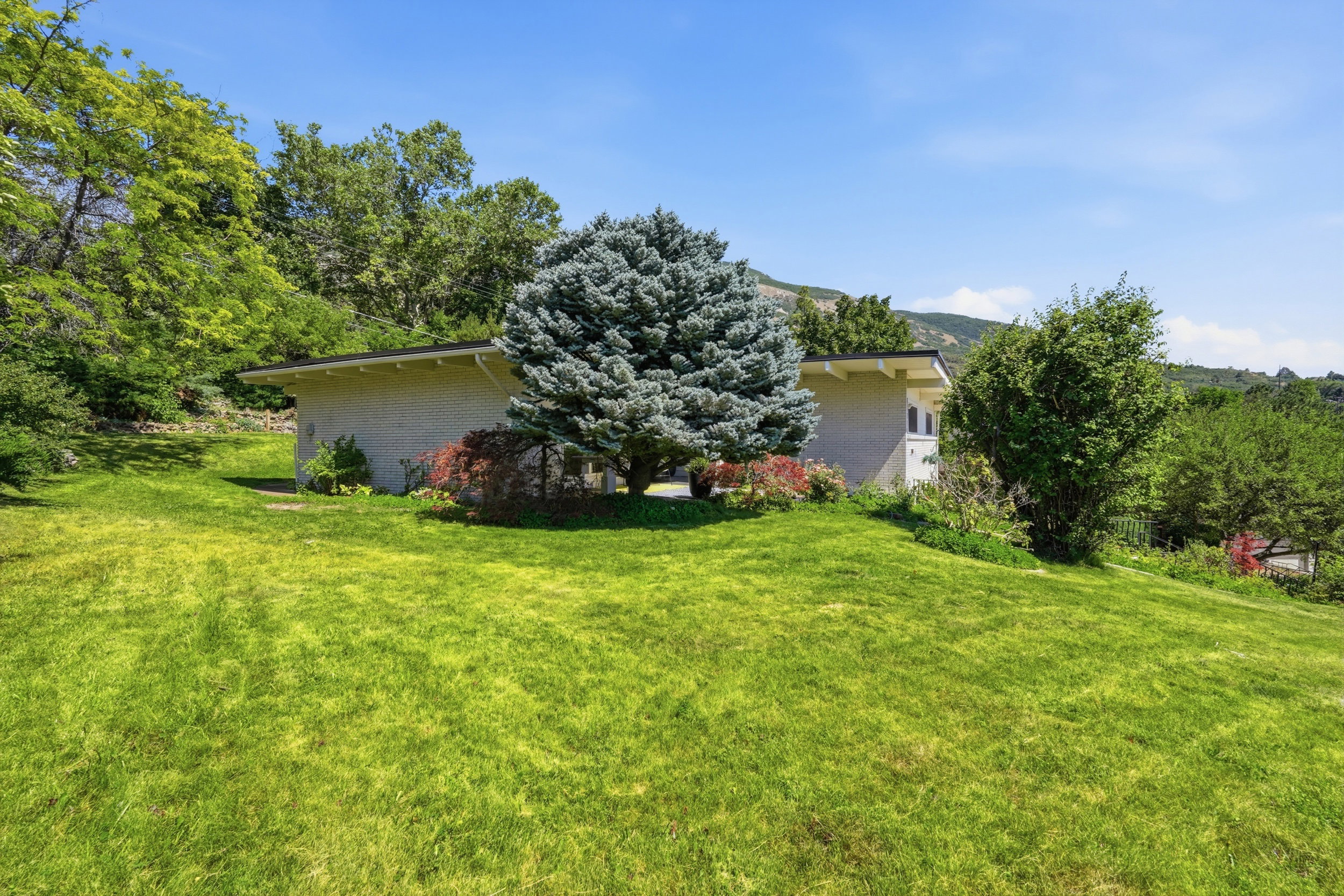 Expansive lawn featuring mature trees and established landscaping, with a stucco-finish property exterior