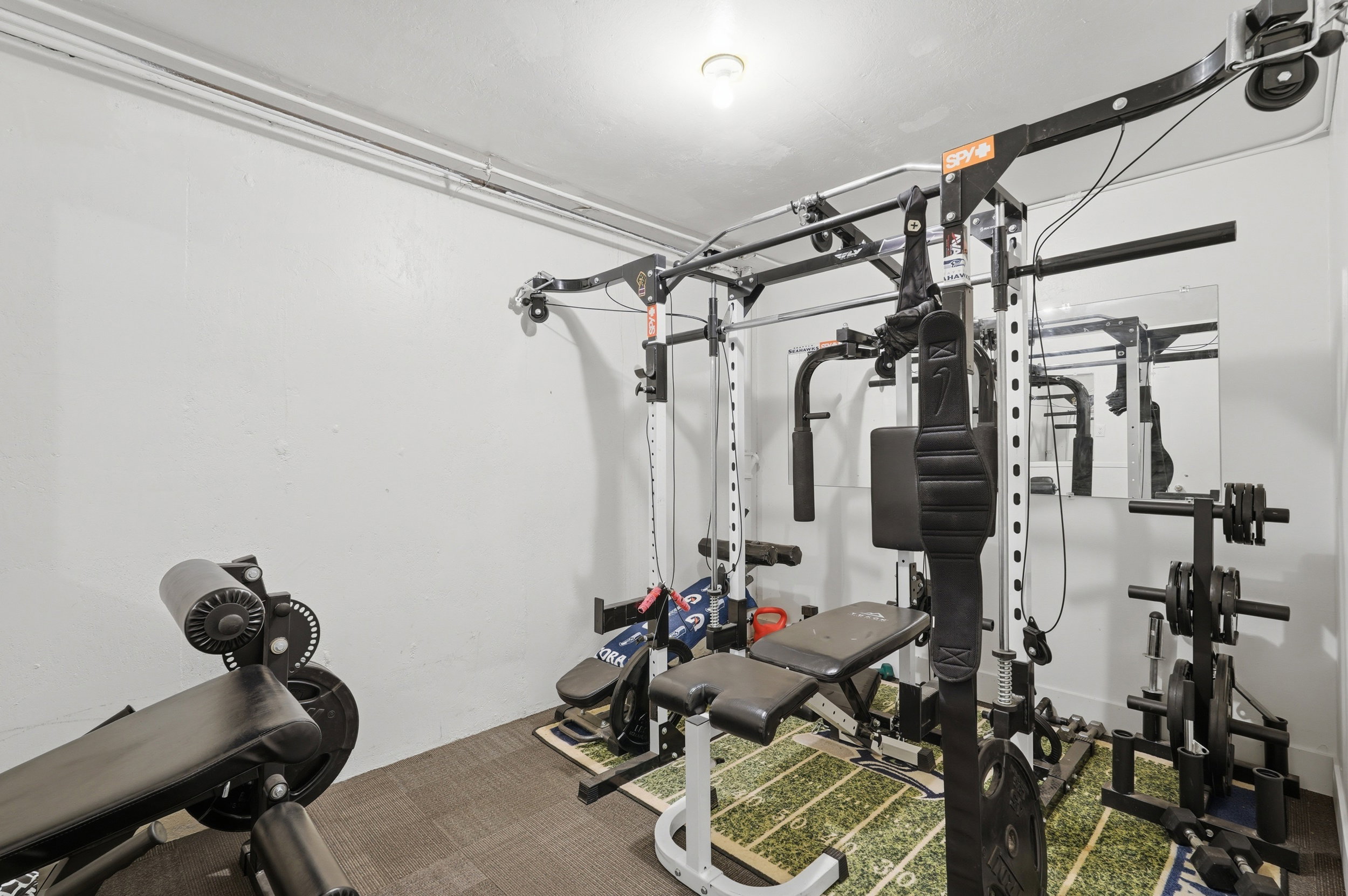 Dedicated fitness space featuring light-colored walls and a neutral-toned carpet
