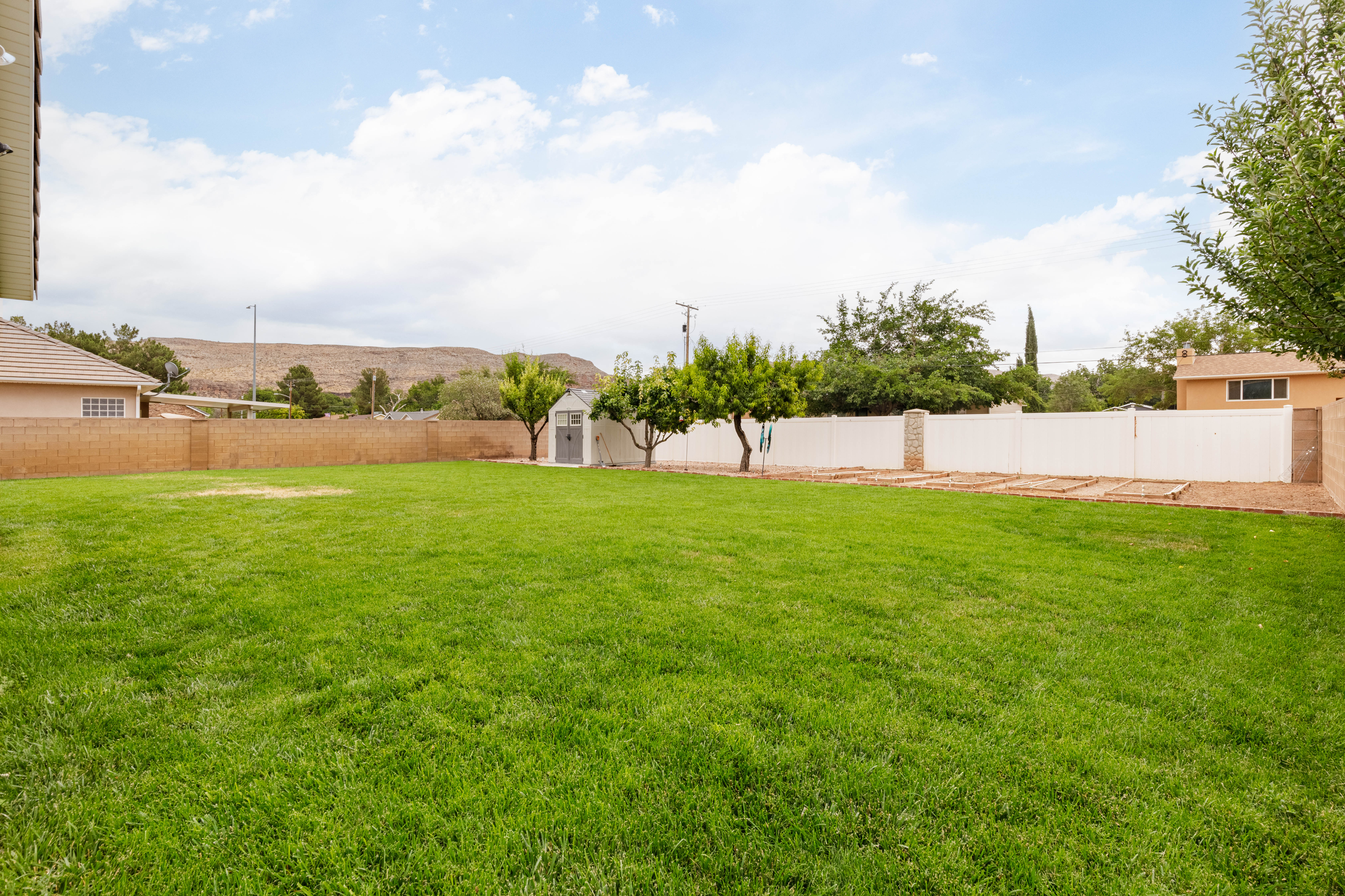 Expansive green lawn with a white privacy fence, mature trees, and a storage shed