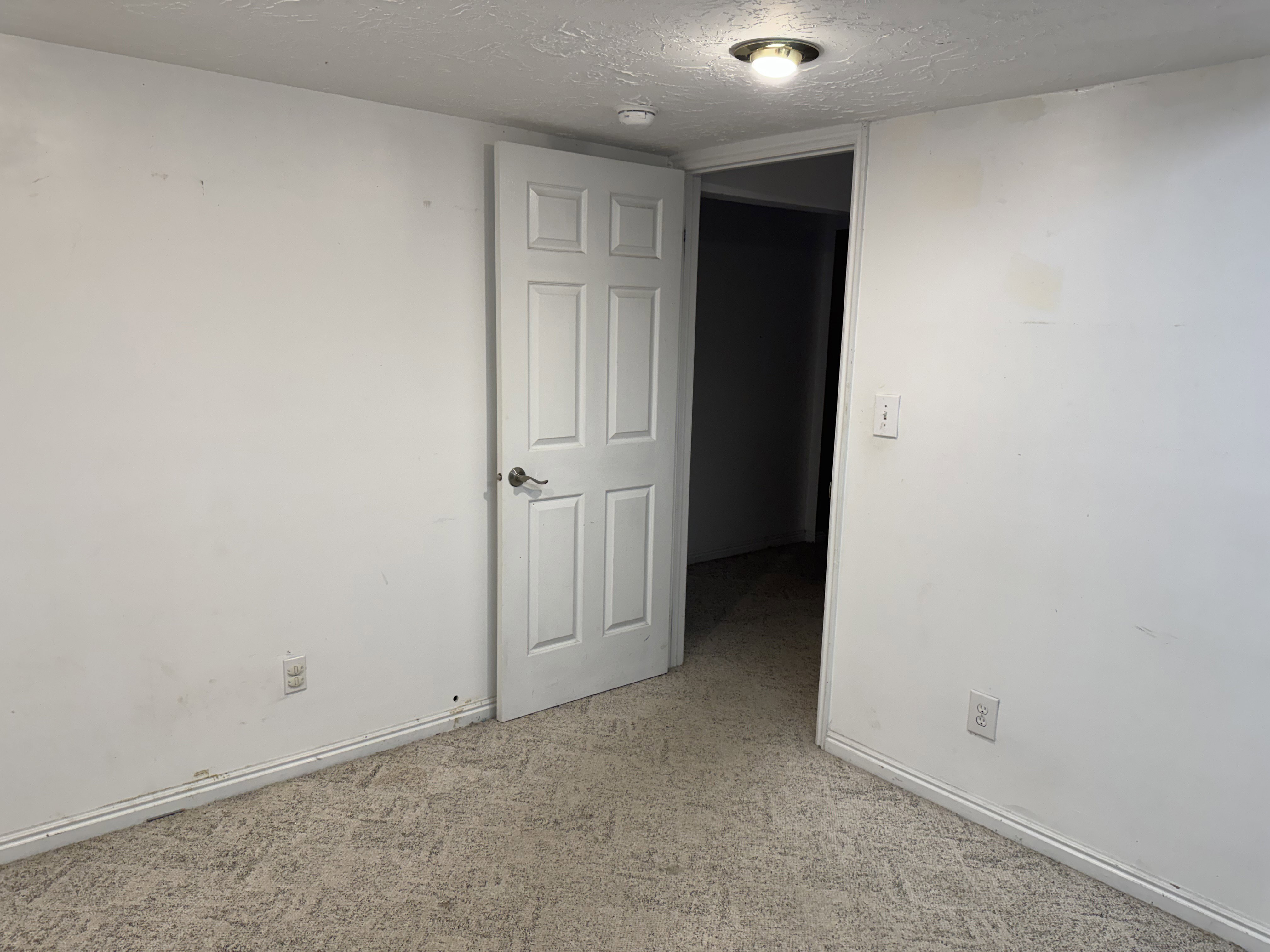Carpeted room featuring a white paneled door, baseboard molding, a surface-mounted ceiling light fixture, and light-colored walls