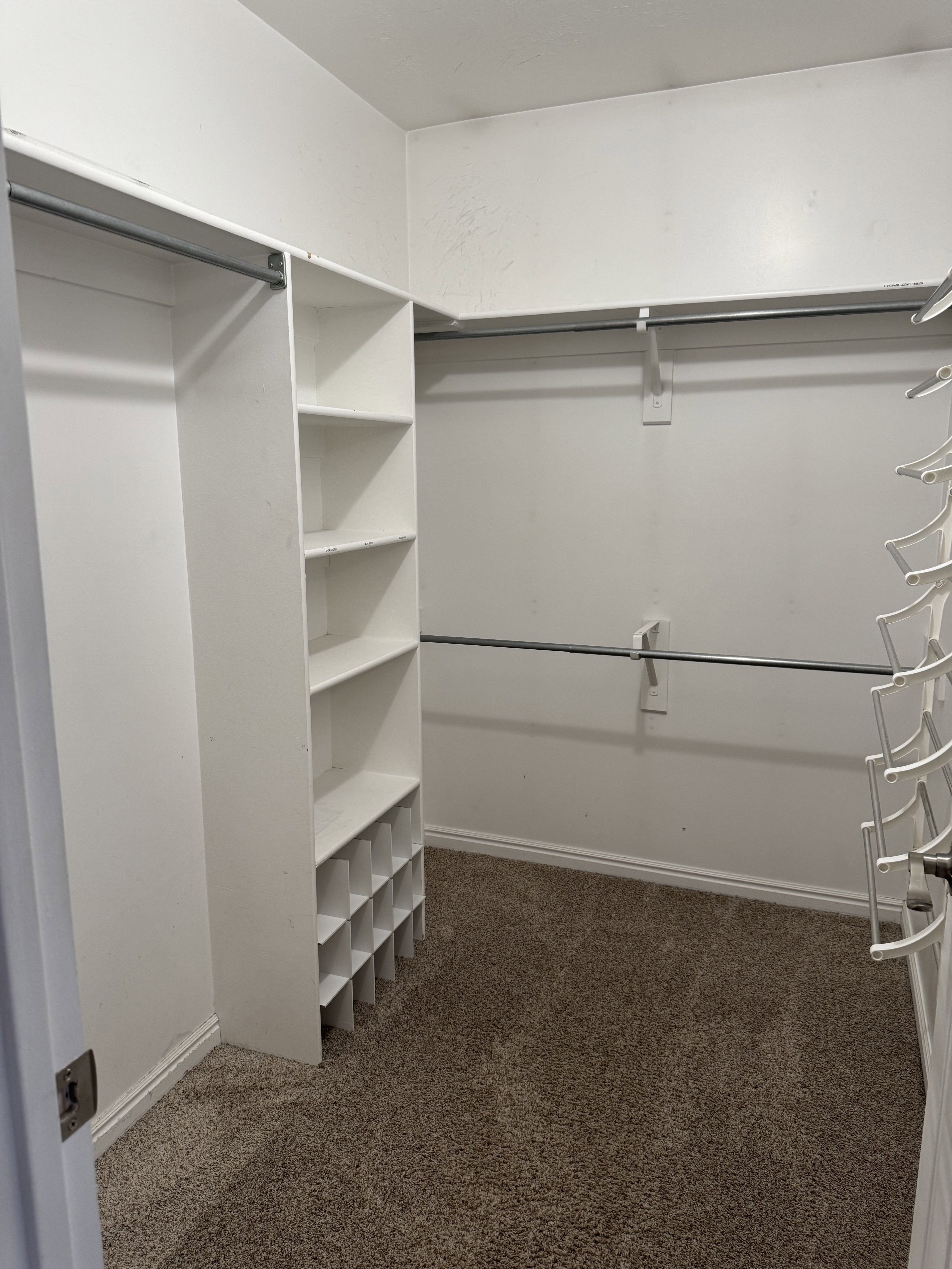 Walk-in closet featuring built-in shelving, hanging rods, and brown carpet flooring
