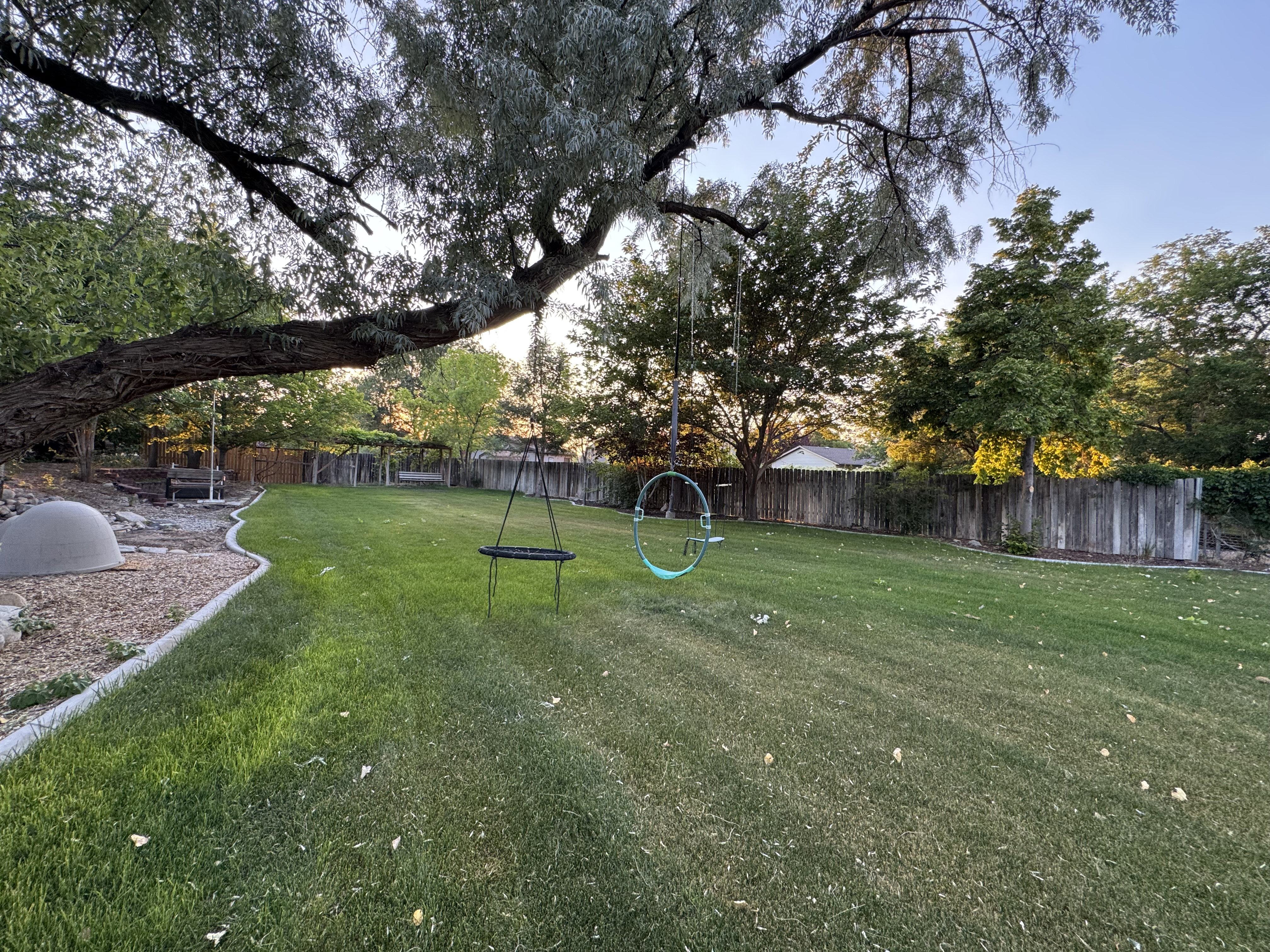 Expansive lawn bordered by mature trees and a wooden privacy fence