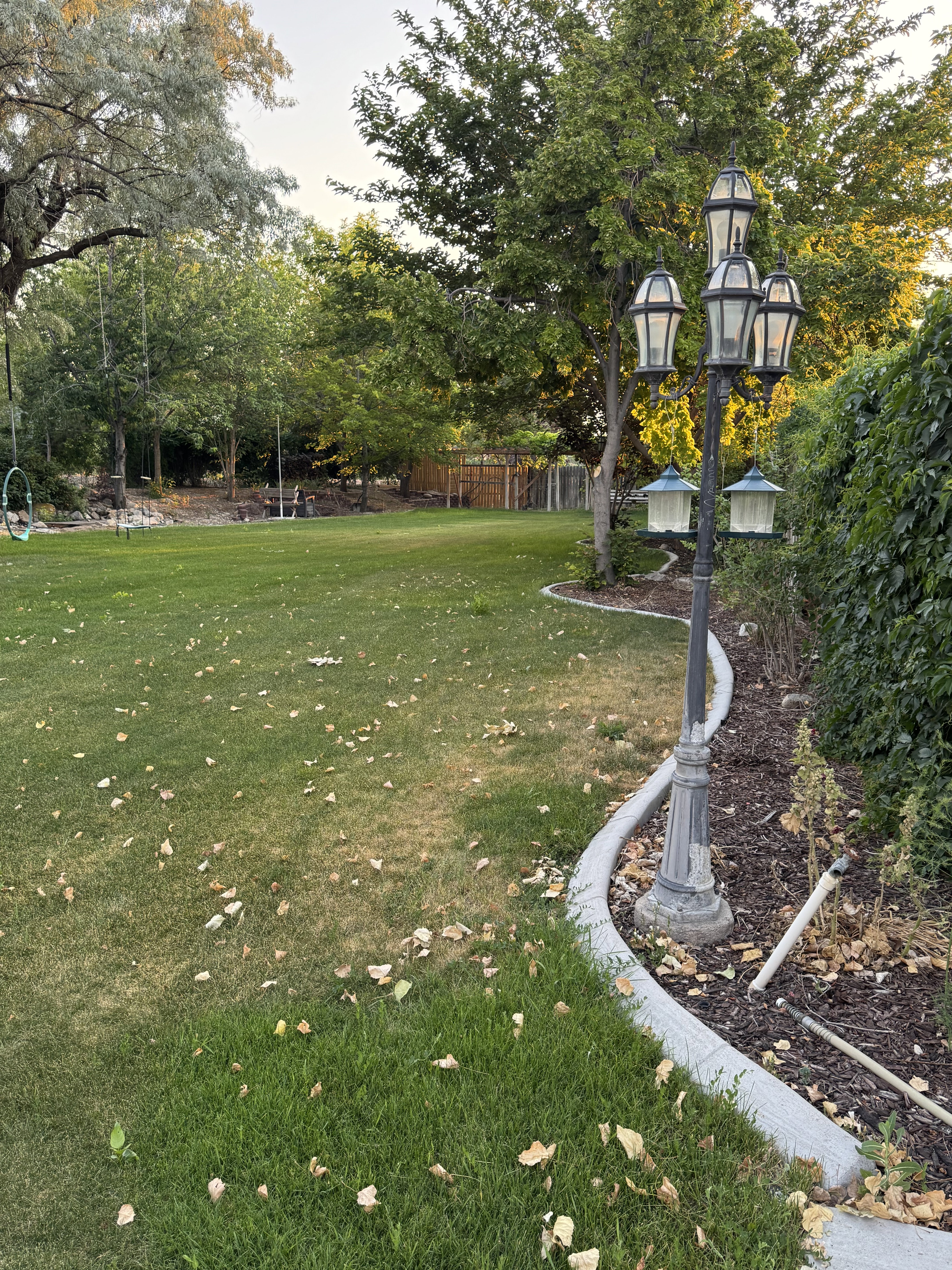 Expansive lawn area featuring mature trees, a decorative lamppost, and curved concrete garden edging
