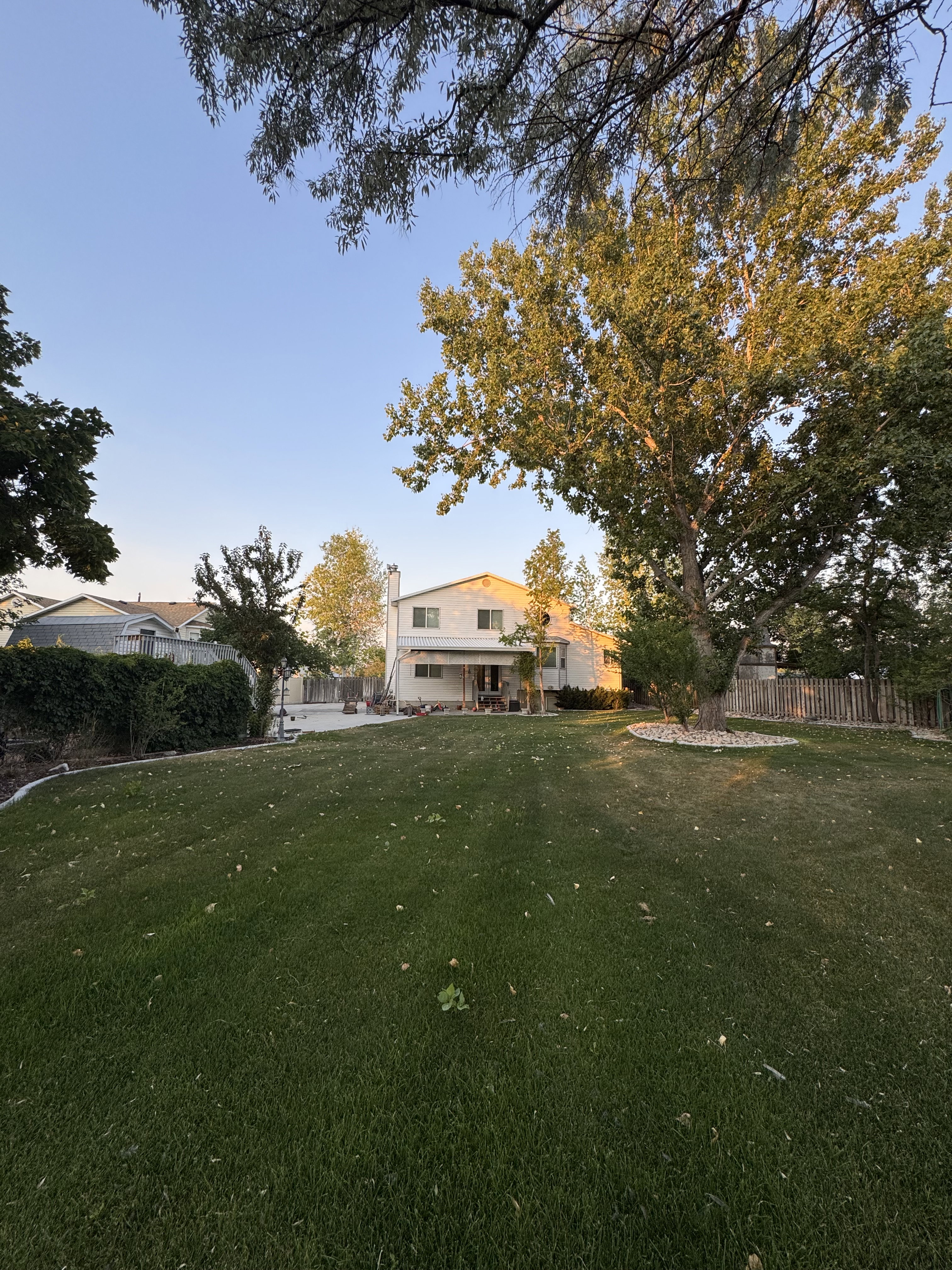 Expansive lawn area featuring mature trees and a concrete patio