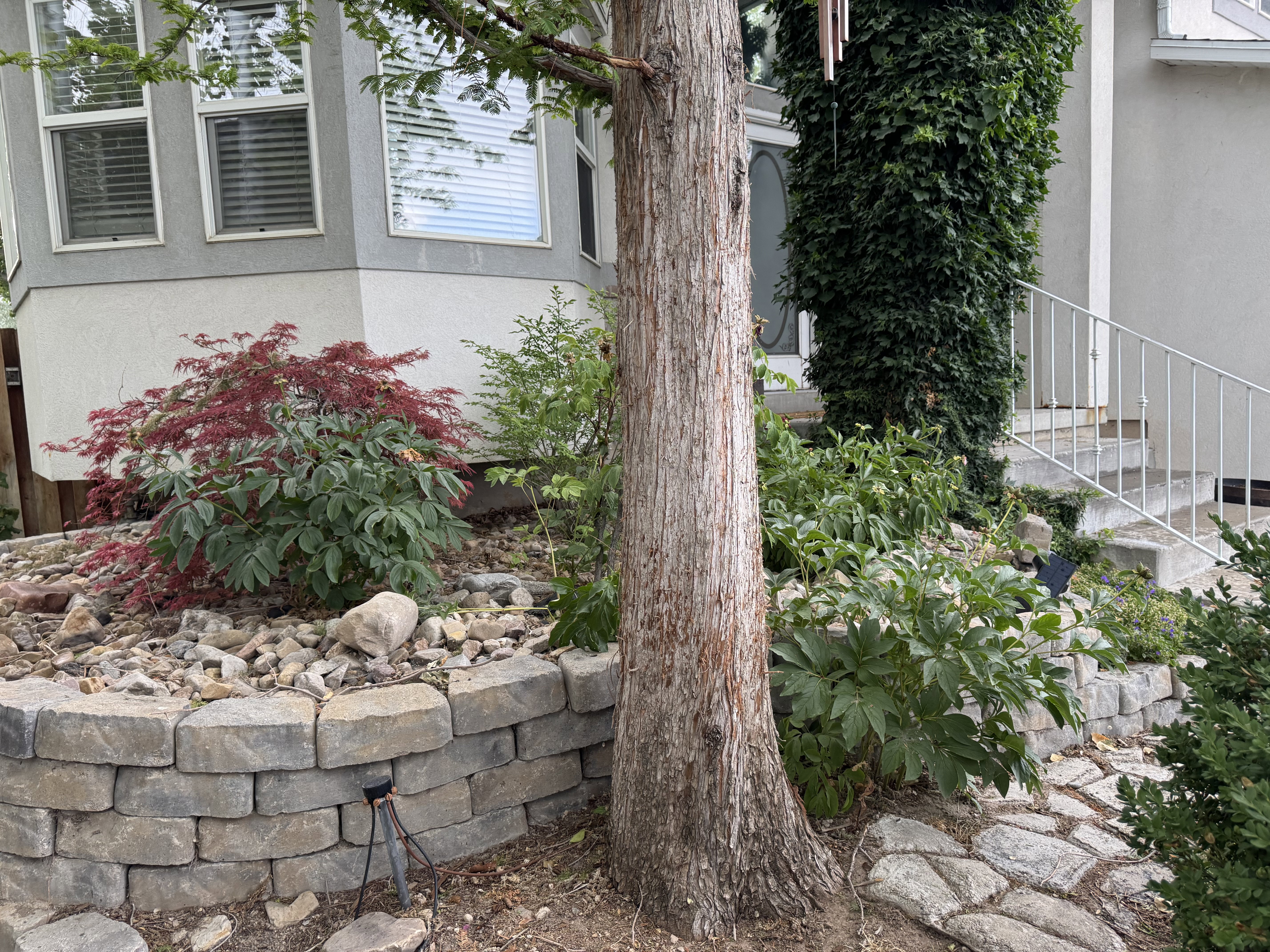 Mature landscaping featuring a retaining wall constructed from modular stone blocks
