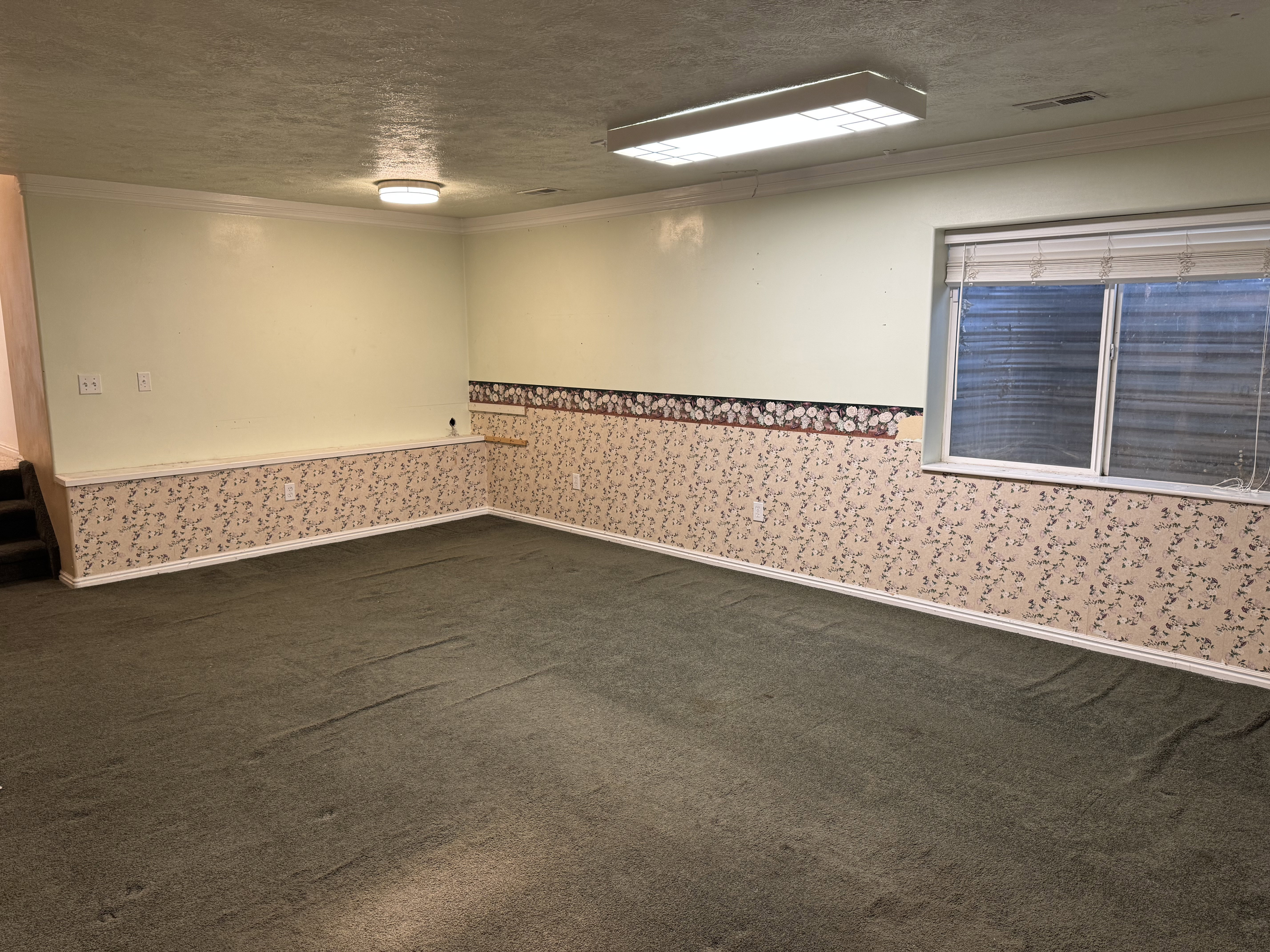 Spacious room featuring green carpet, a large window with blinds, and multiple built-in light fixtures