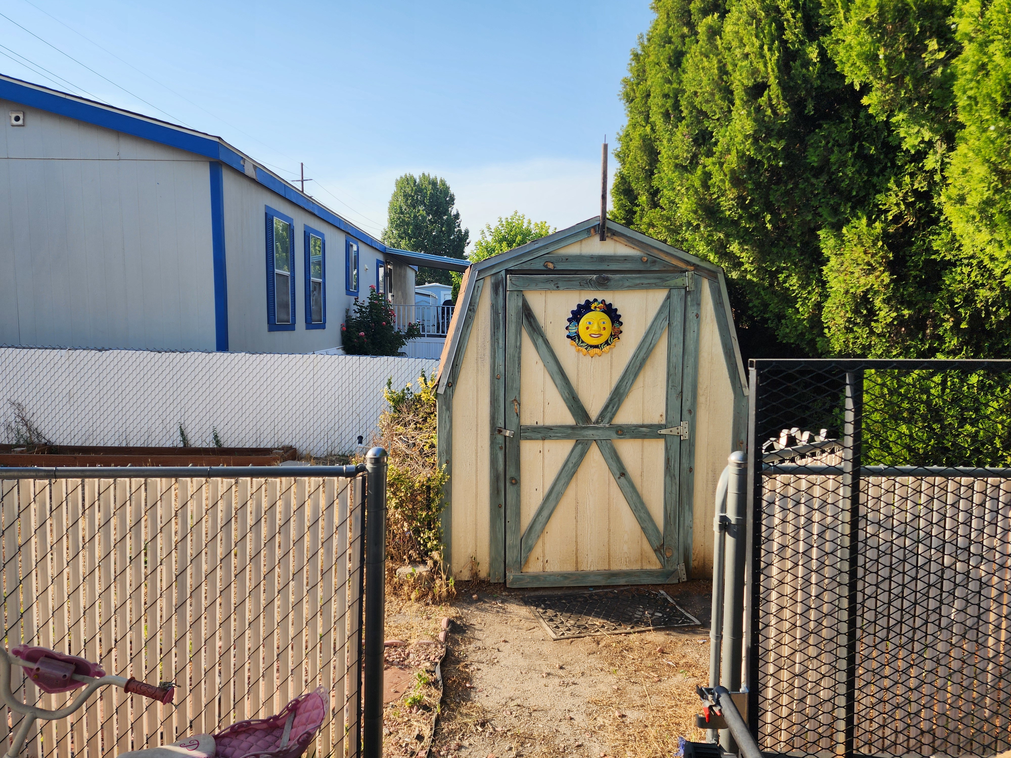 Backyard storage shed with a gambrel roof and natural wood-finish siding, accented by blue trim