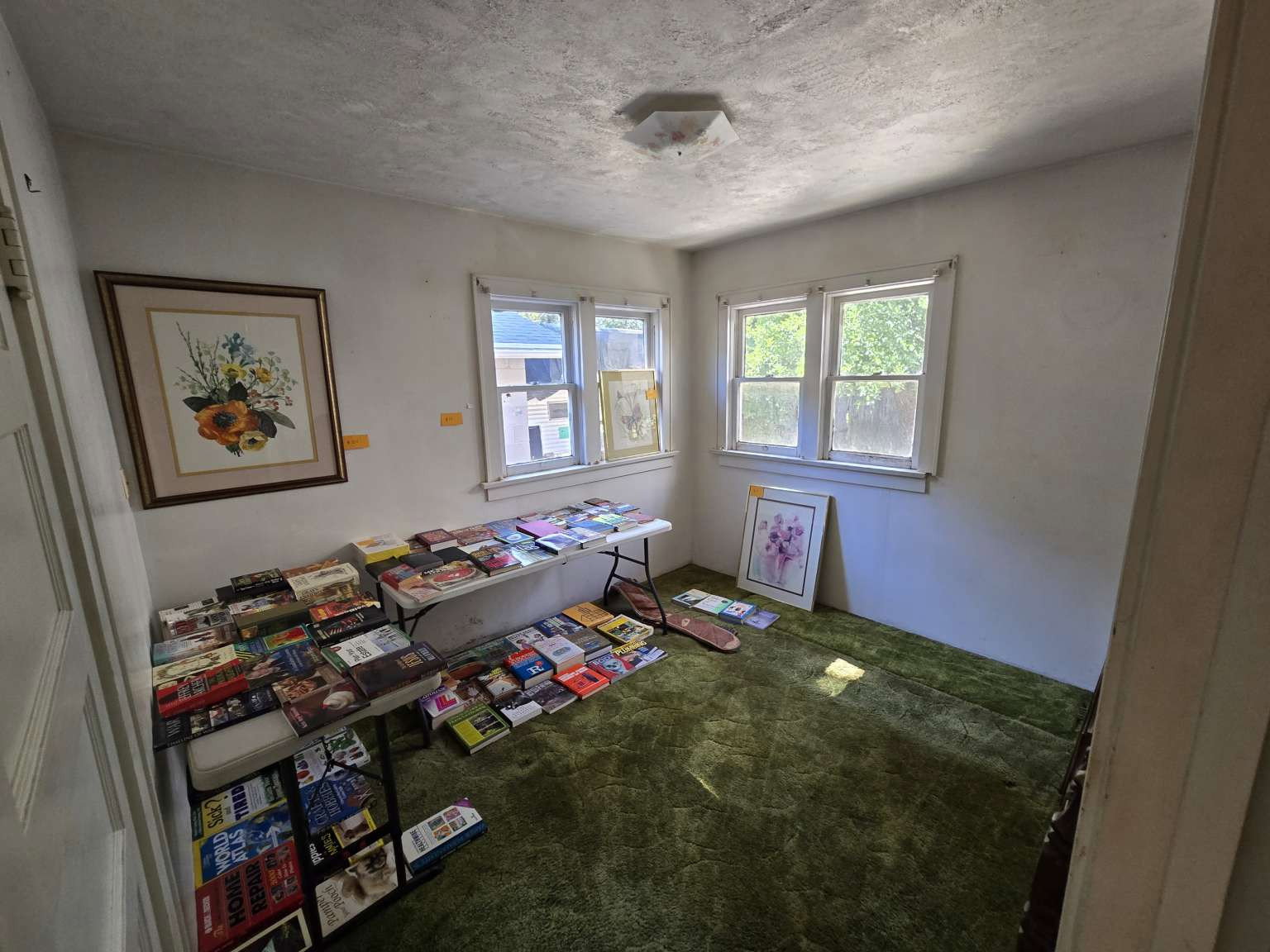 Room featuring two windows with white trim, green carpet flooring, and a ceiling-mounted light fixture