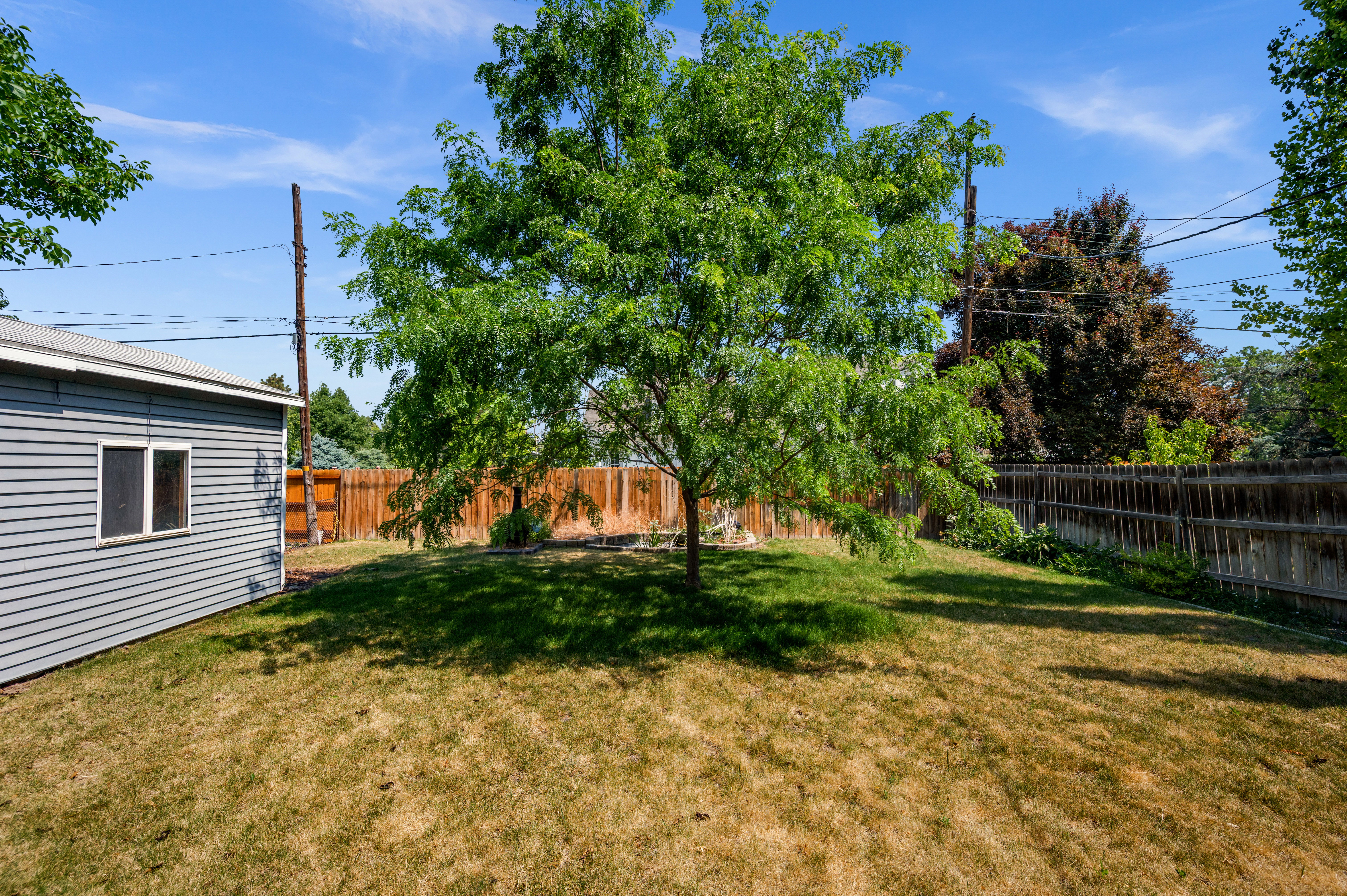 Fenced backyard featuring a mature shade tree, a separate utility building with horizontal siding, and a wooden privacy fence
