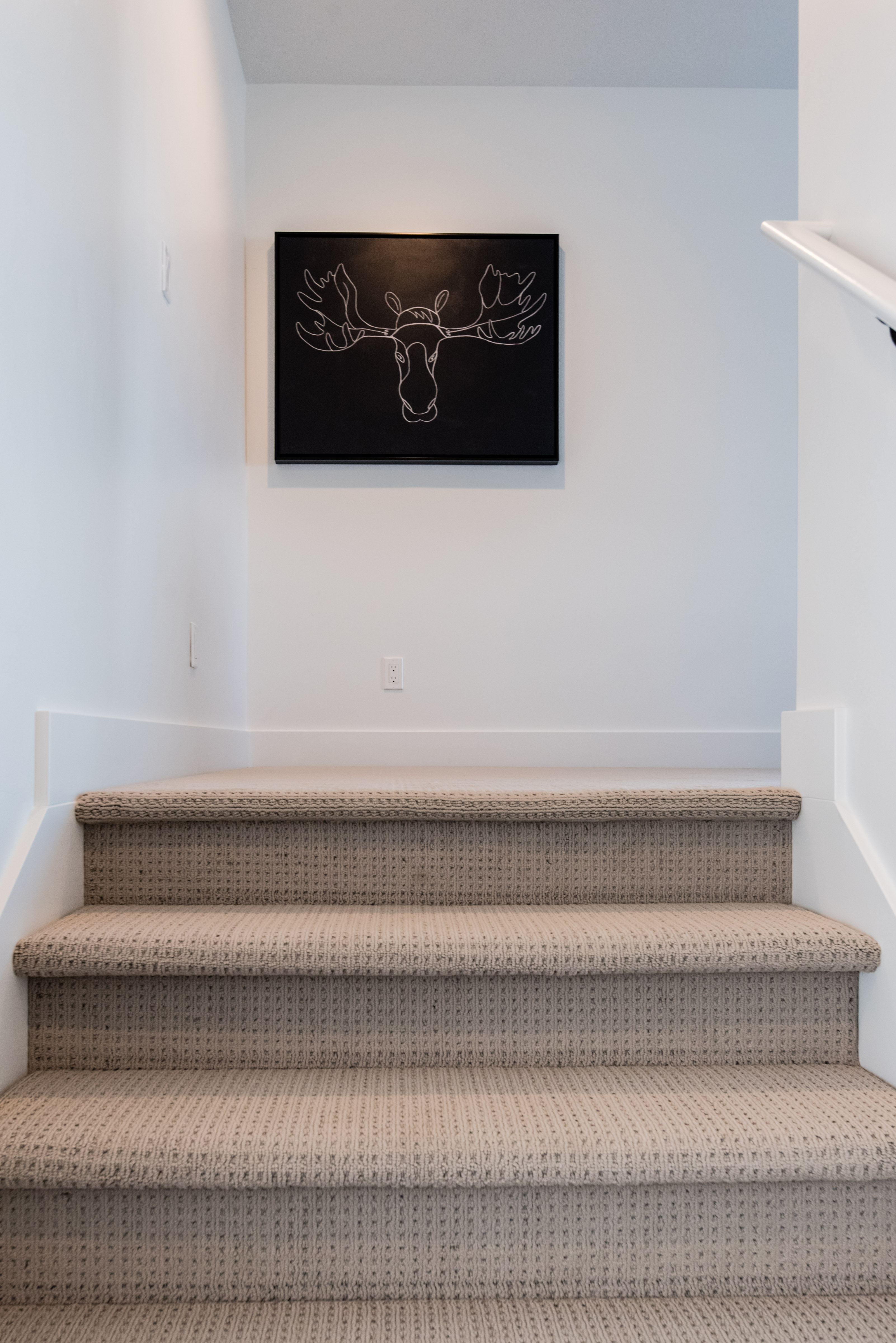 Carpeted staircase featuring a light-toned textile, white risers, and a white handrail