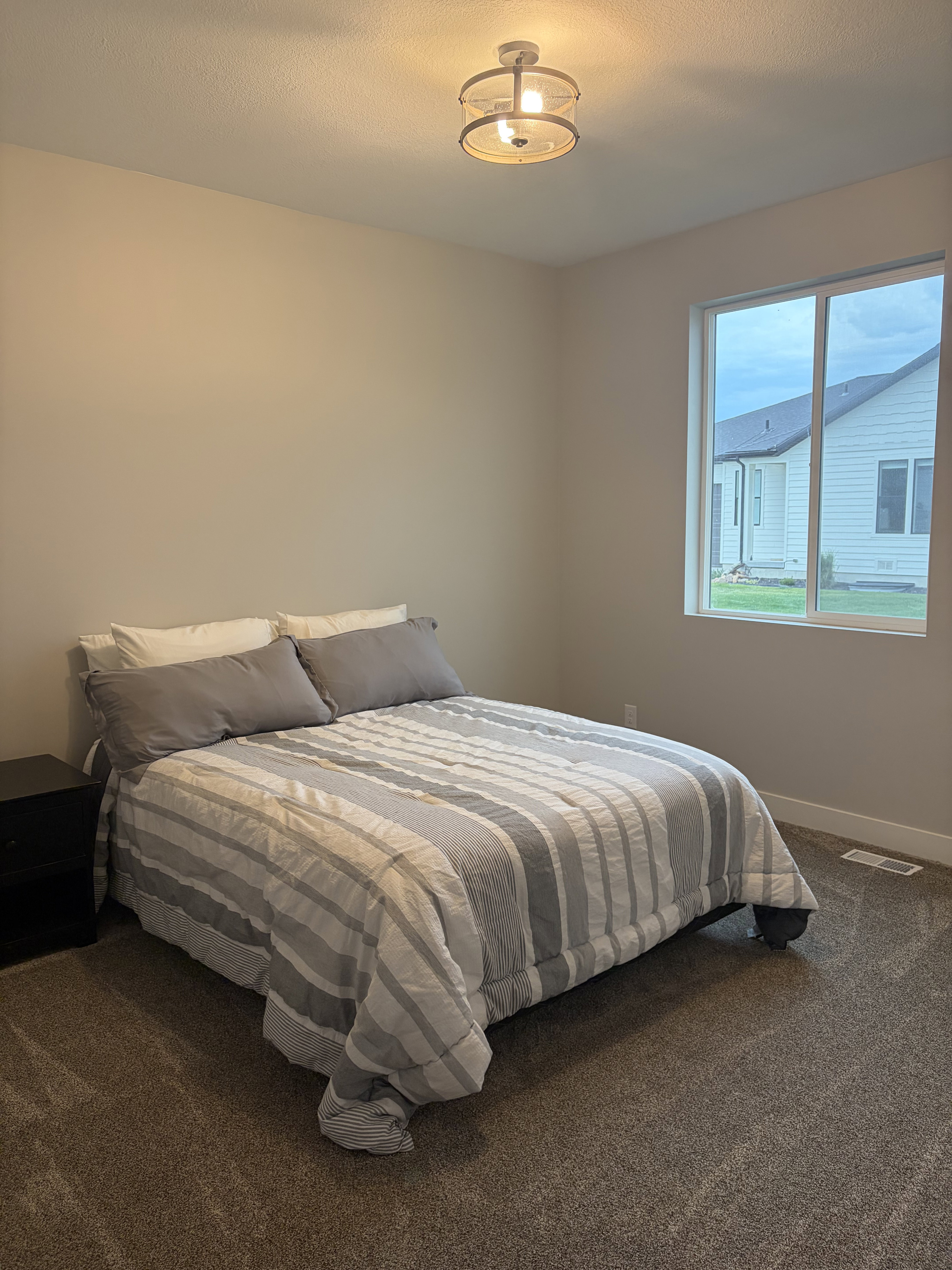 Neutral tone wall finishes, ceiling-mounted light fixture, large window, and carpeted flooring