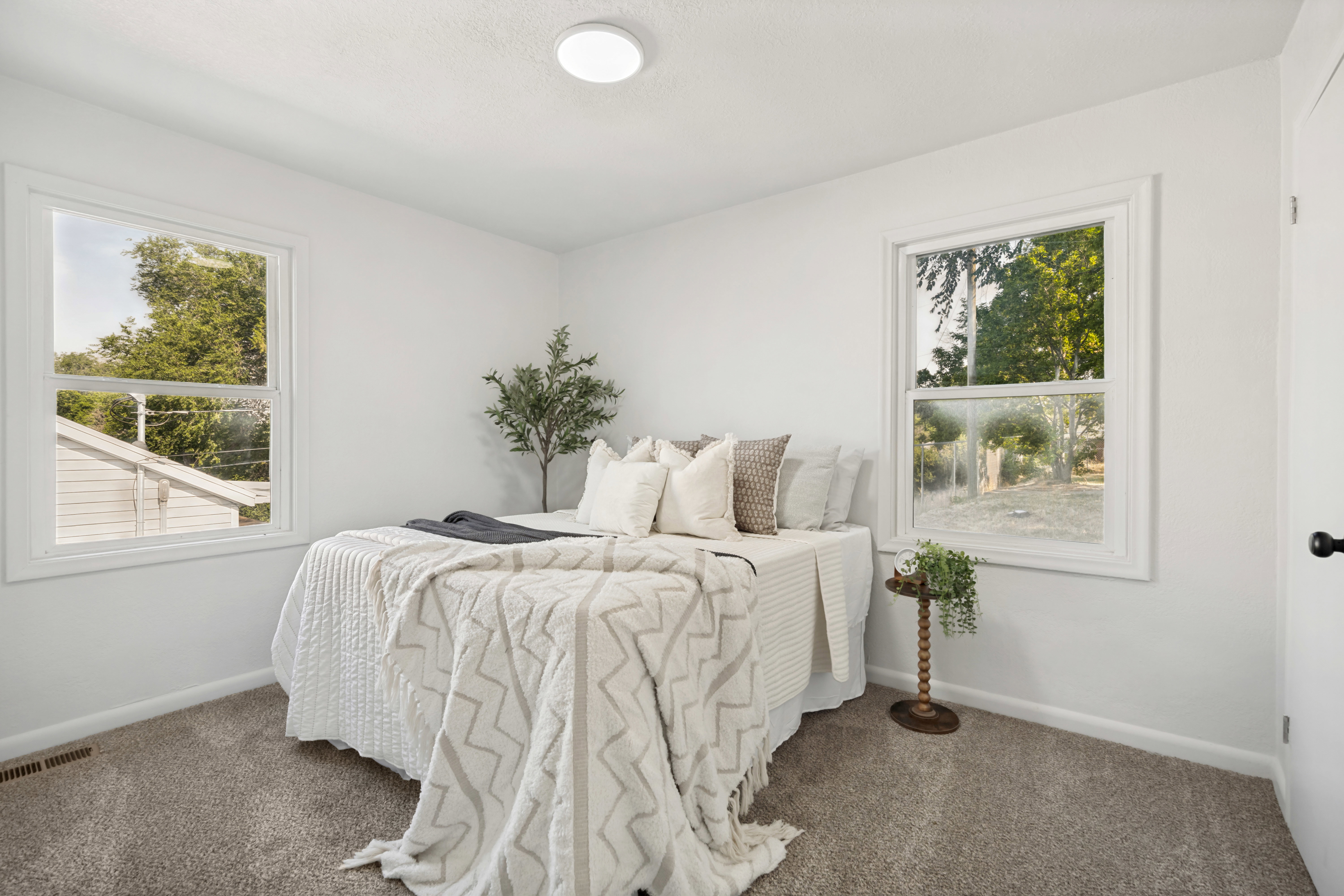 Bright room featuring two large windows, white walls, textured carpeting, and a flush-mount ceiling light