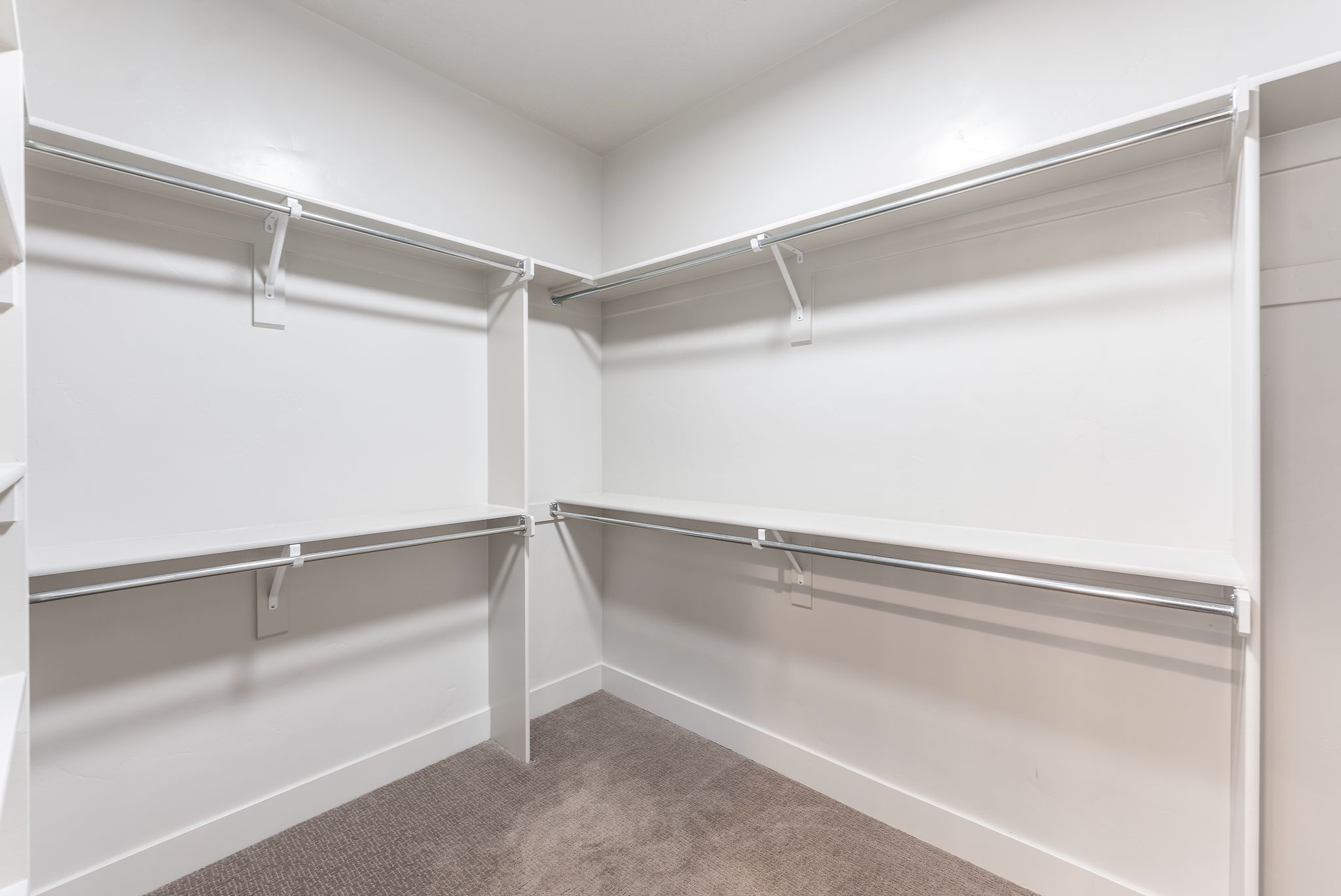 Walk-in closet with carpet flooring, white walls, and built-in shelving with hanging rods