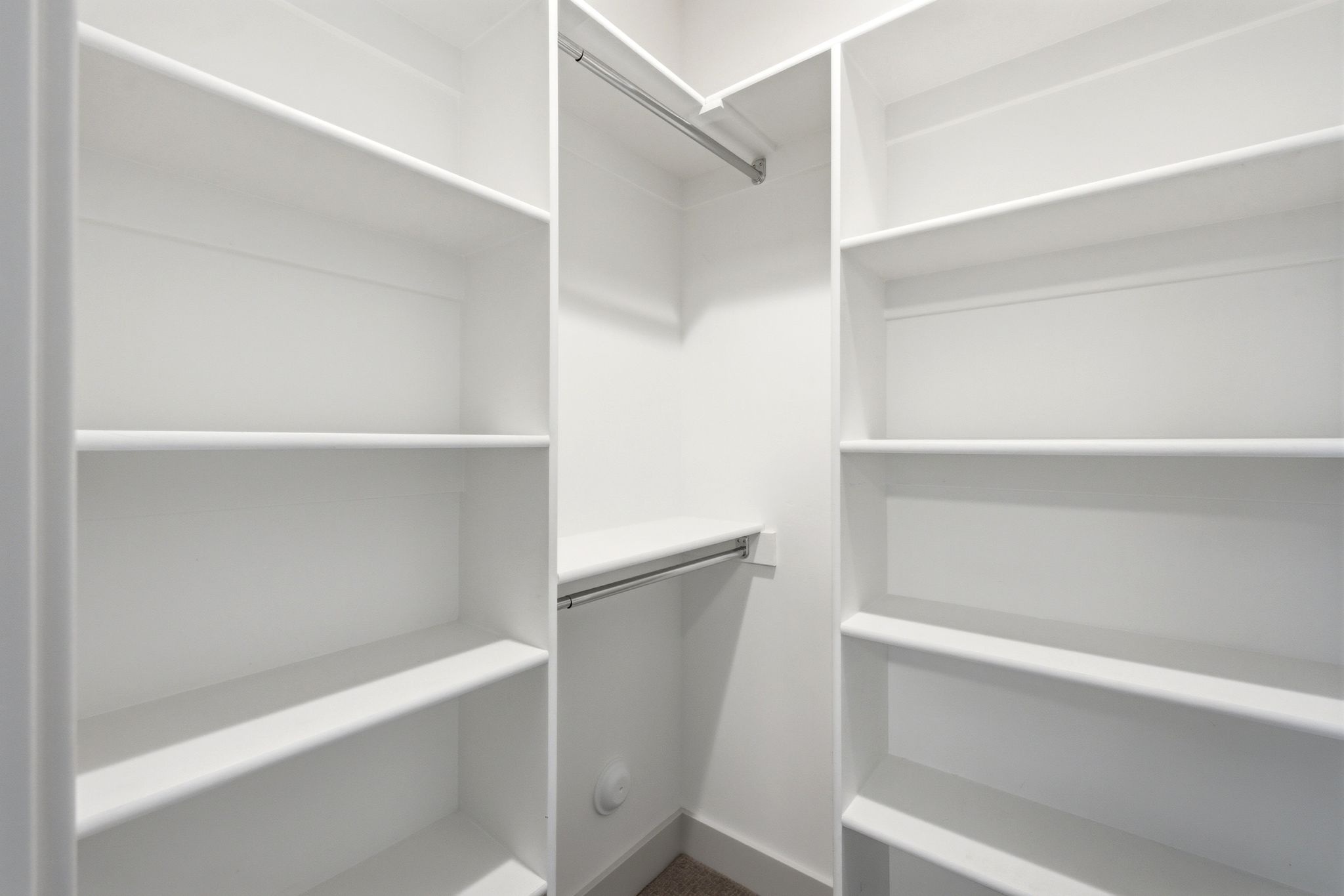 Walk-in closet featuring white built-in shelving, multiple hanging rods, and a neutral carpeted floor