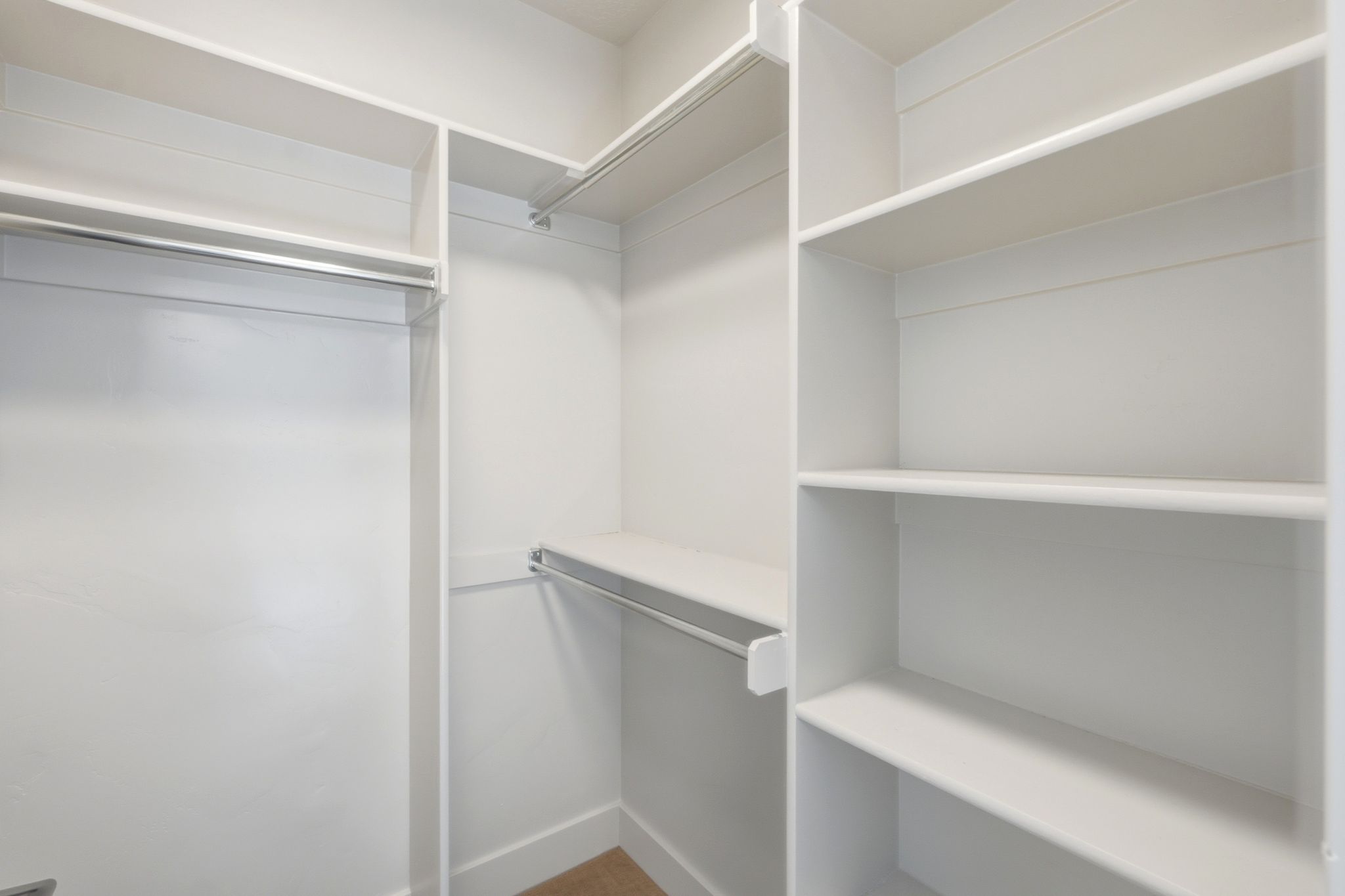 Walk-in closet featuring built-in shelving, multiple hanging rods, and light-toned carpeting