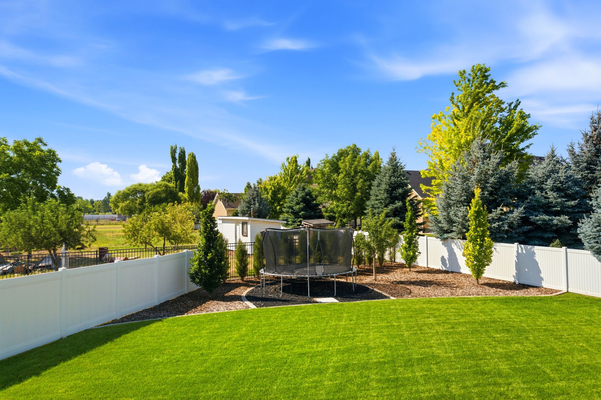 Expansive backyard featuring a manicured lawn, a white vinyl fence, mature trees, and a landscaped area with ground cover