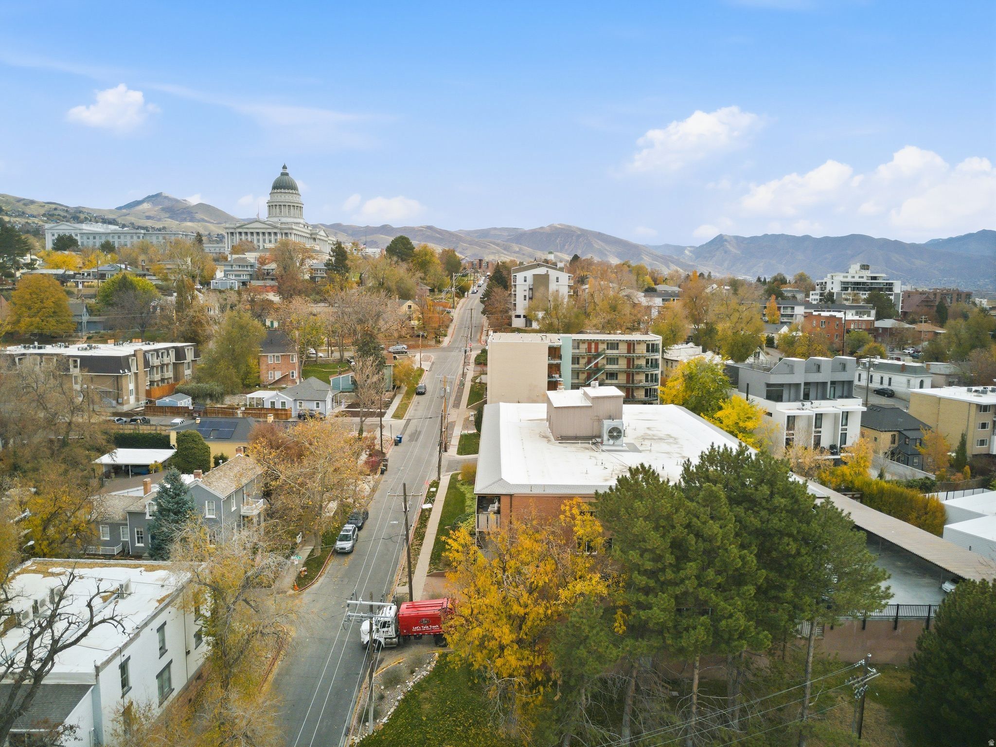 Aerial perspective showcasing a mature tree canopy, residential architecture, and distant mountain ranges
