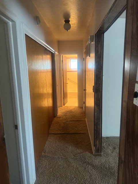 Hallway featuring carpet flooring, flush-mount ceiling light fixture, and wood-paneled doors