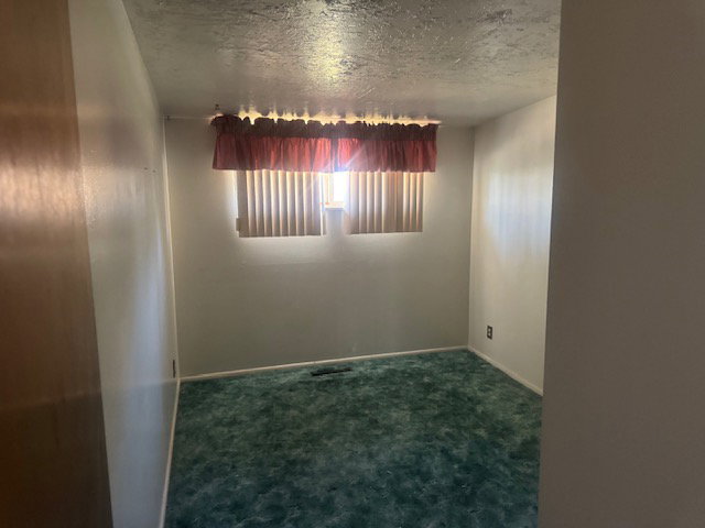 Room with textured ceiling, vertical window blinds, and green carpet