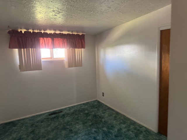 Room featuring a window with vertical blinds and a fabric valance, light-colored walls, and green patterned carpet