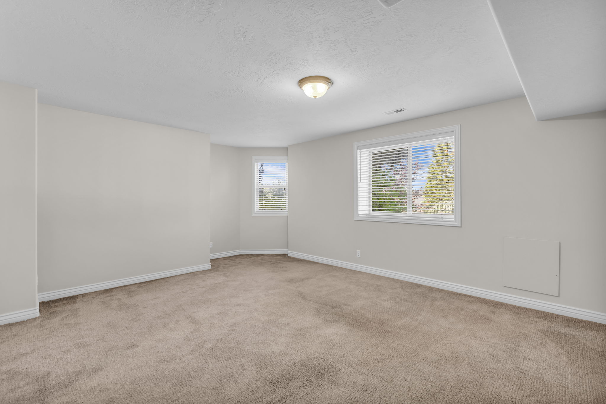 Spacious room featuring neutral carpet flooring, light-colored walls, and two windows providing natural light