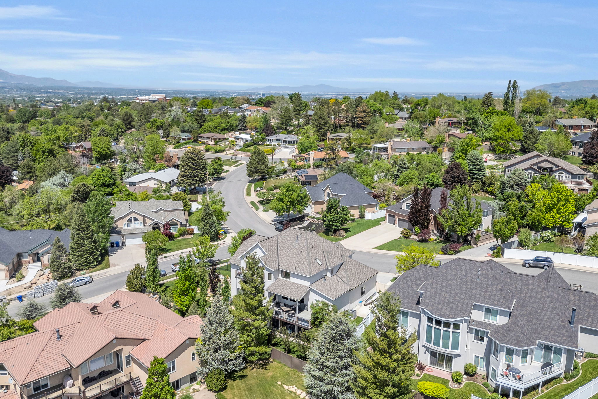 Aerial perspective showcasing a residential neighborhood with diverse architectural styles, mature trees, and mountainous terrain in the distance