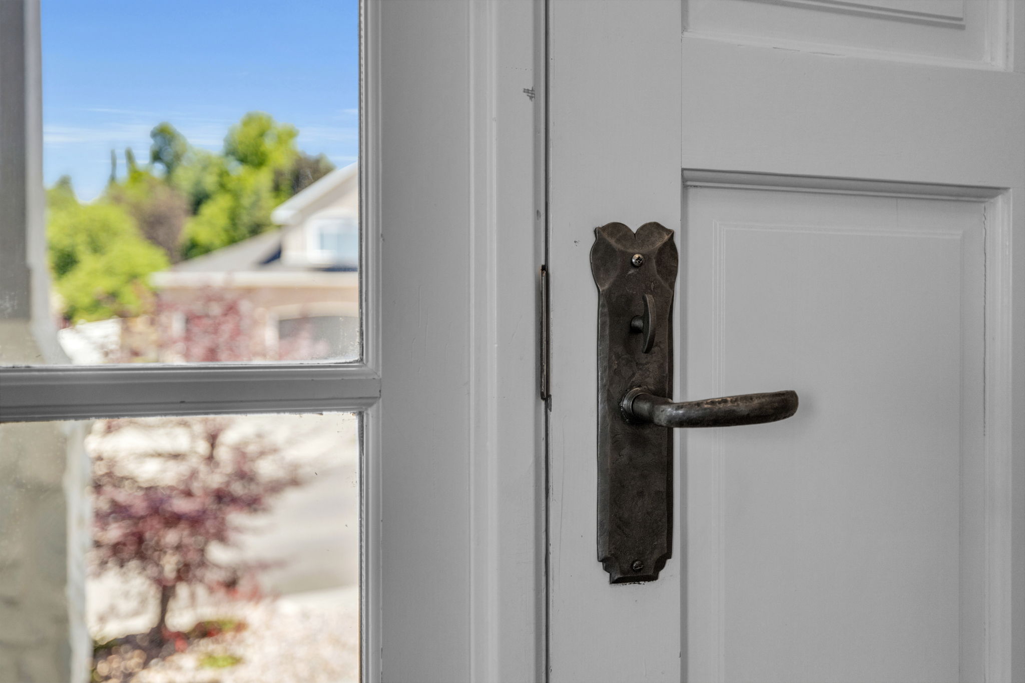 Panel door with an ornate metal door handle and a multi-pane window