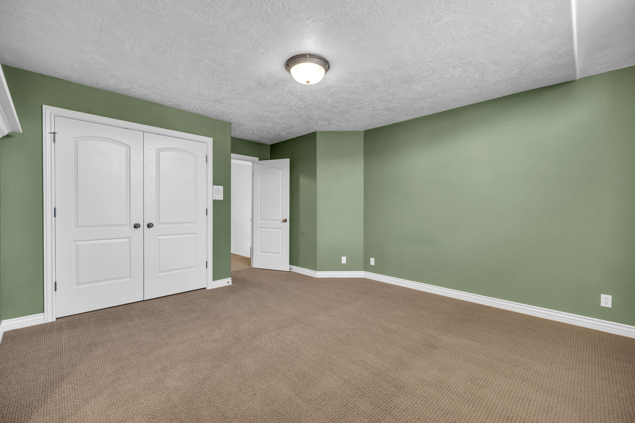 Spacious room featuring neutral carpet flooring, soft green painted walls, and bright white trim