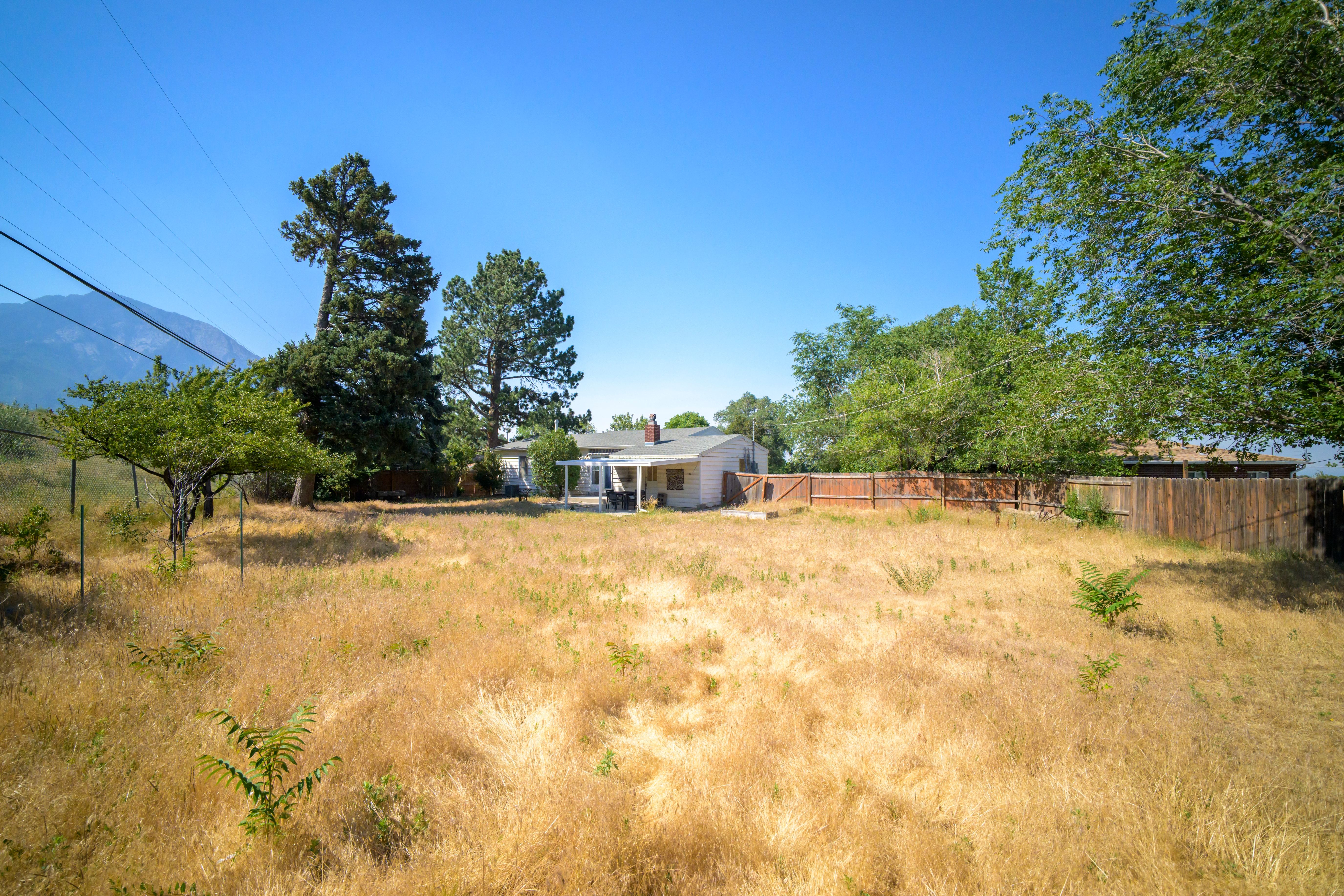 Expansive outdoor space featuring a single-story residence, mature trees, and a wood fence