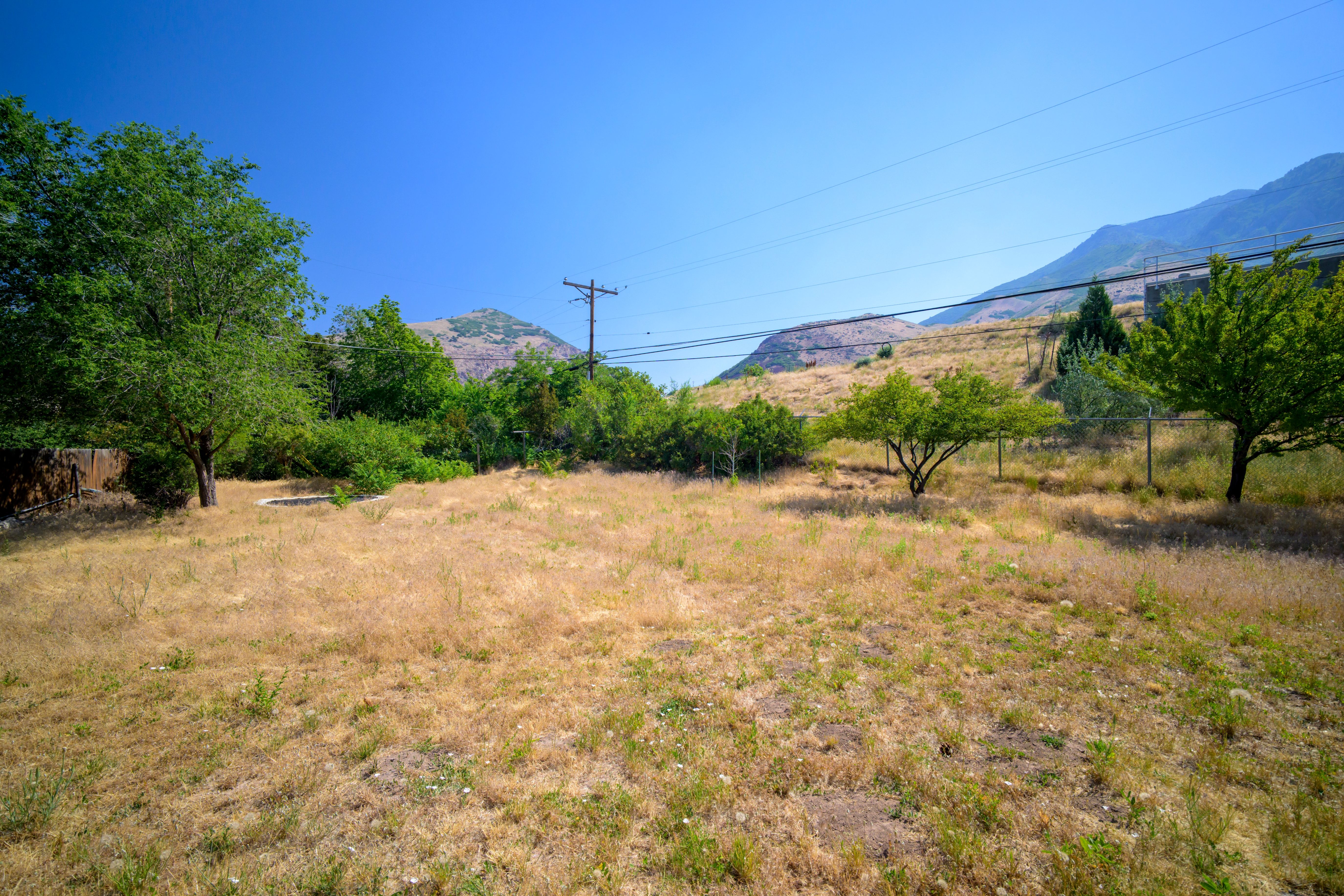 Expansive outdoor space featuring a large grassy area, mature trees, and distant mountain terrain