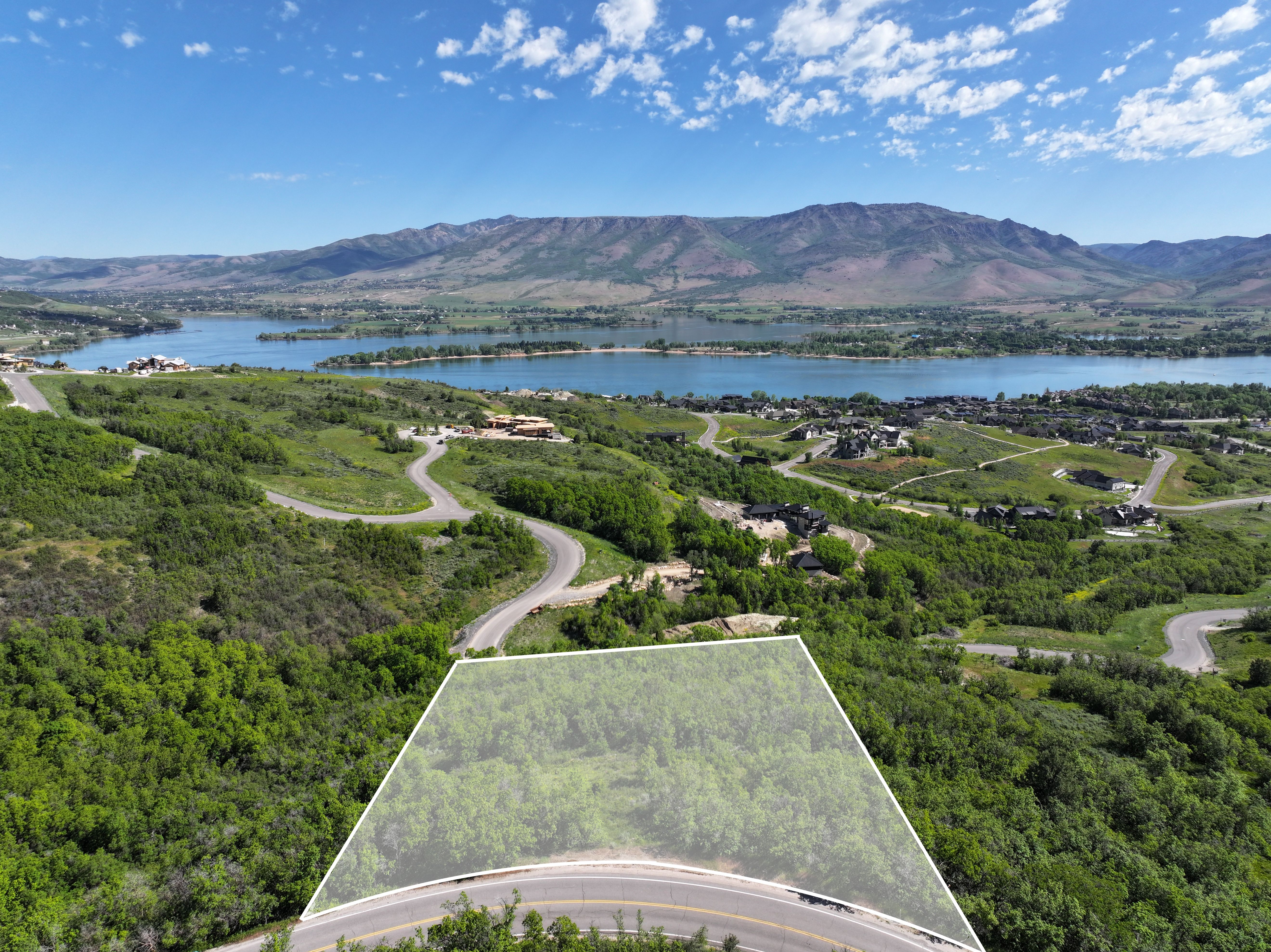 Expansive land parcel featuring dense green foliage, a paved road frontage, and a distant lake backdrop