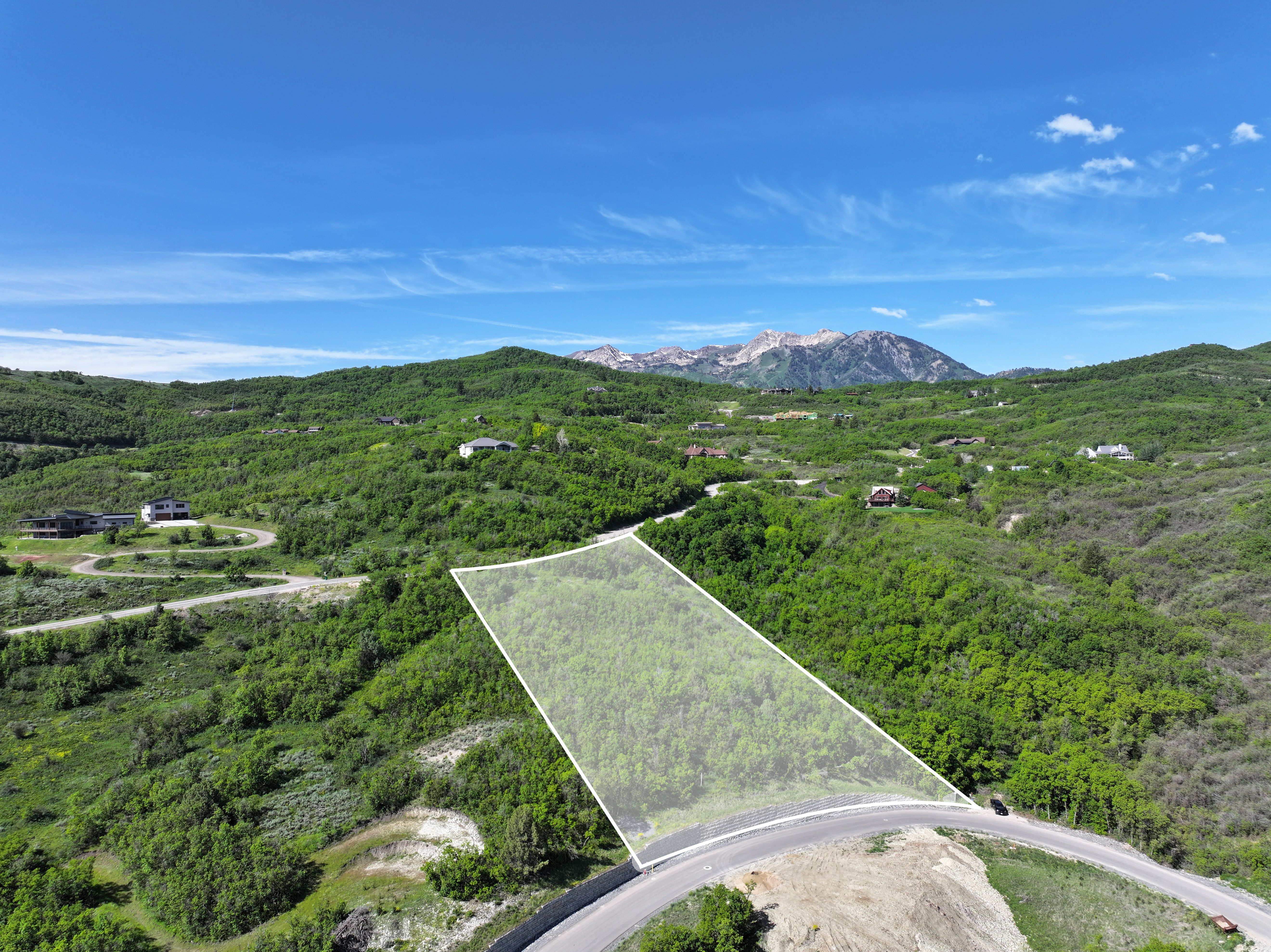 Expansive lot featuring a natural, treed landscape