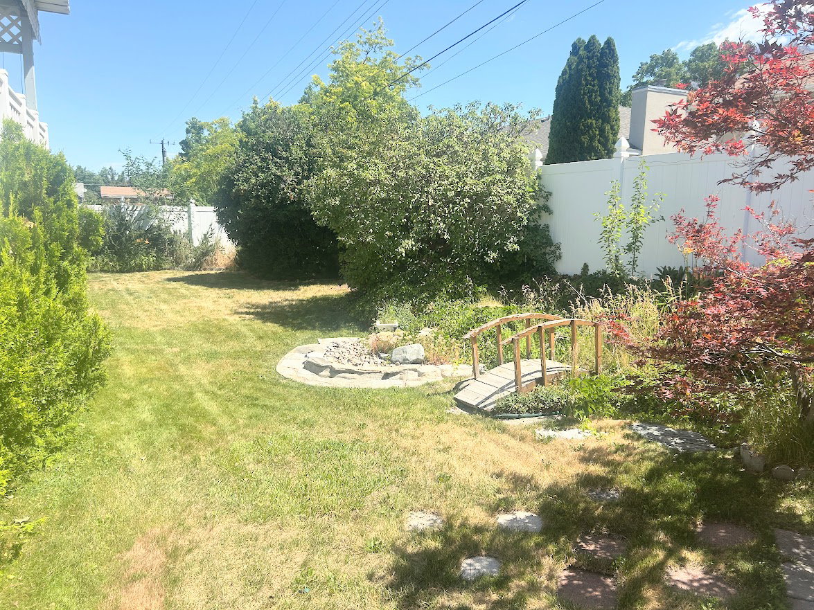 Back yard