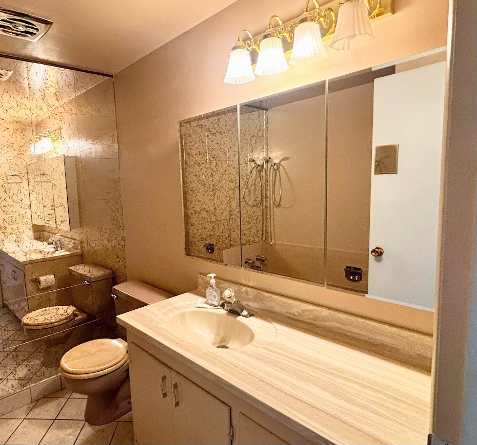 Primary hall bathroom