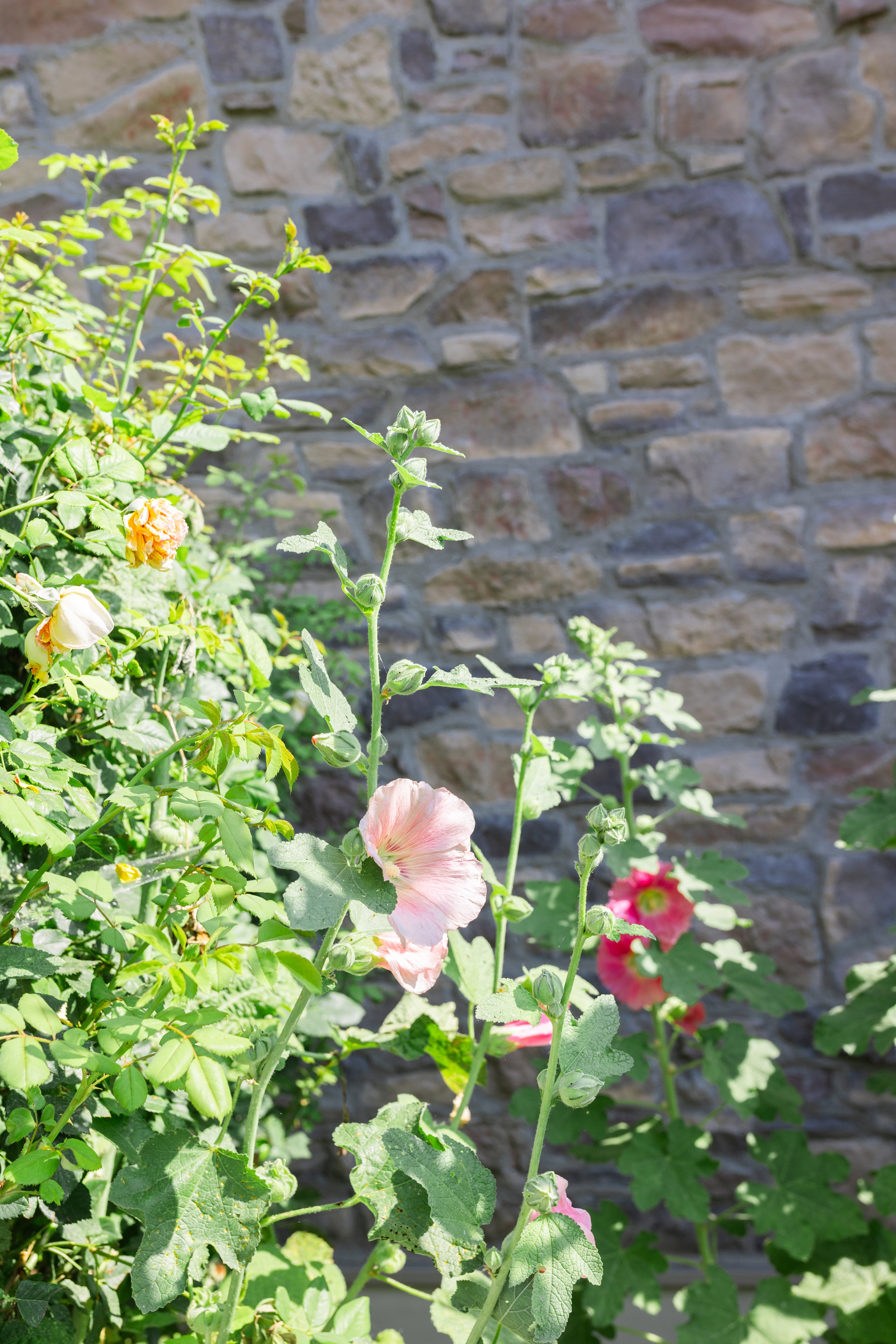 Stone exterior with varied natural tones and texture, complemented by vibrant green foliage and blossoming flowers