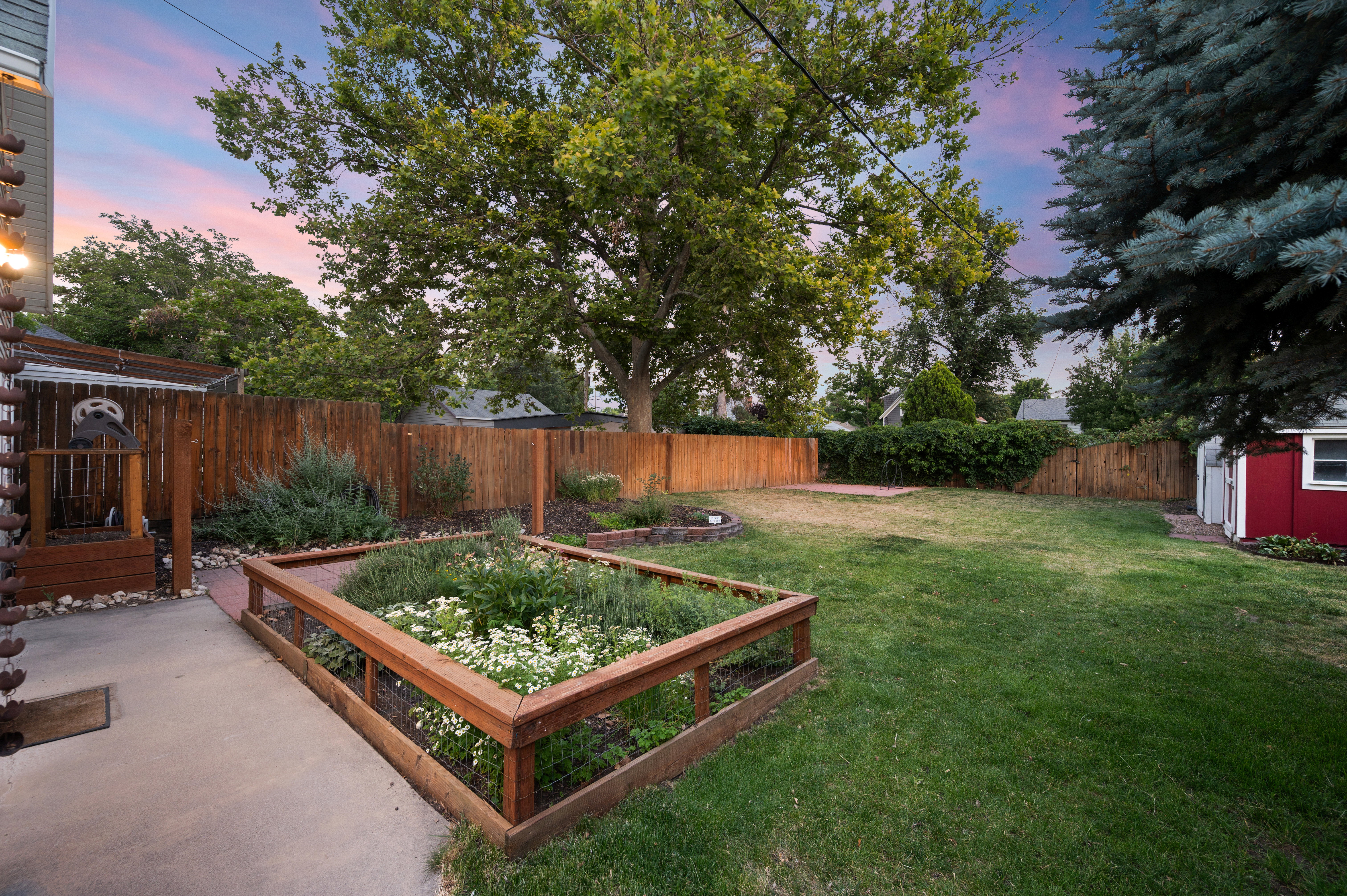 Expansive backyard featuring a manicured lawn, a raised garden bed with white flowering plants, and mature trees
