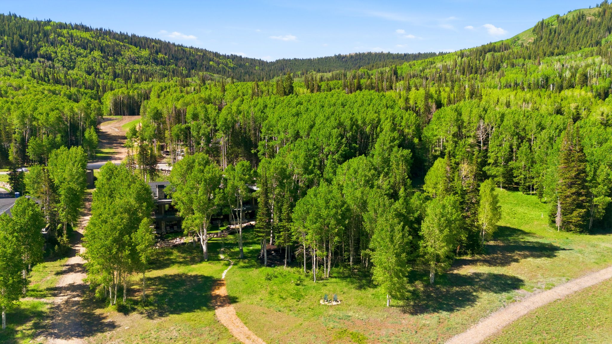 Mountain property featuring extensive woodlands and mature trees