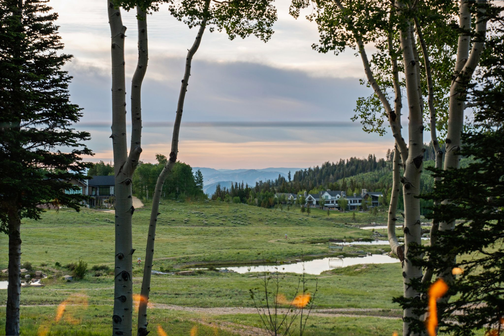 Expansive landscape featuring mature aspen and evergreen trees, rolling green terrain, and natural water features