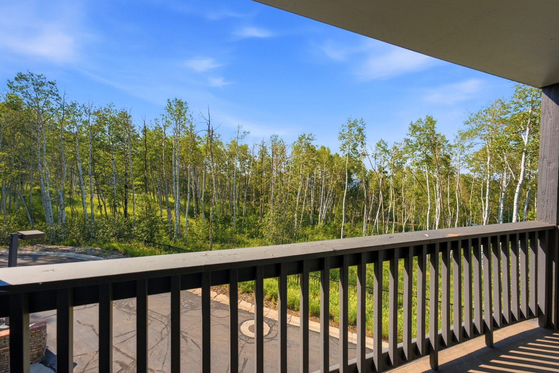 Balcony featuring a dark railing, providing an elevated outlook over surrounding deciduous trees and a clear blue sky