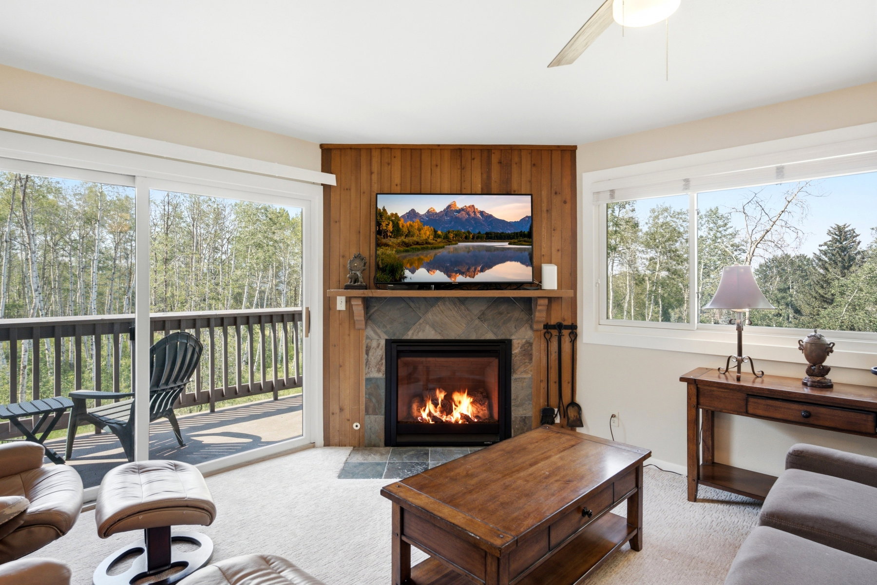 Living area featuring a stone-clad fireplace with wood paneling, a sliding glass door to an outdoor deck, a large window, and light-colored carpeting