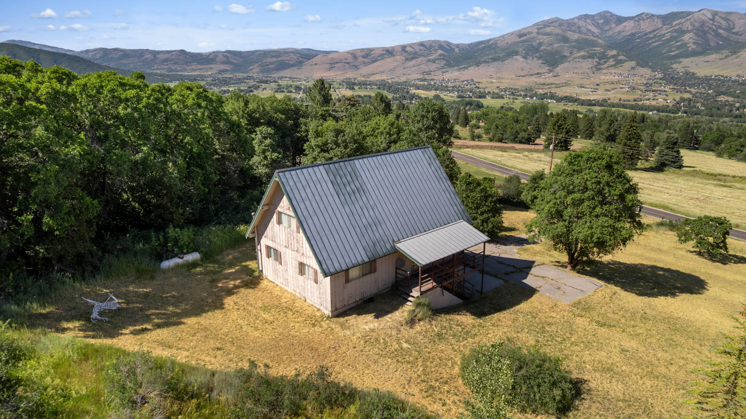 A-frame residence featuring a metal roof and light-toned siding