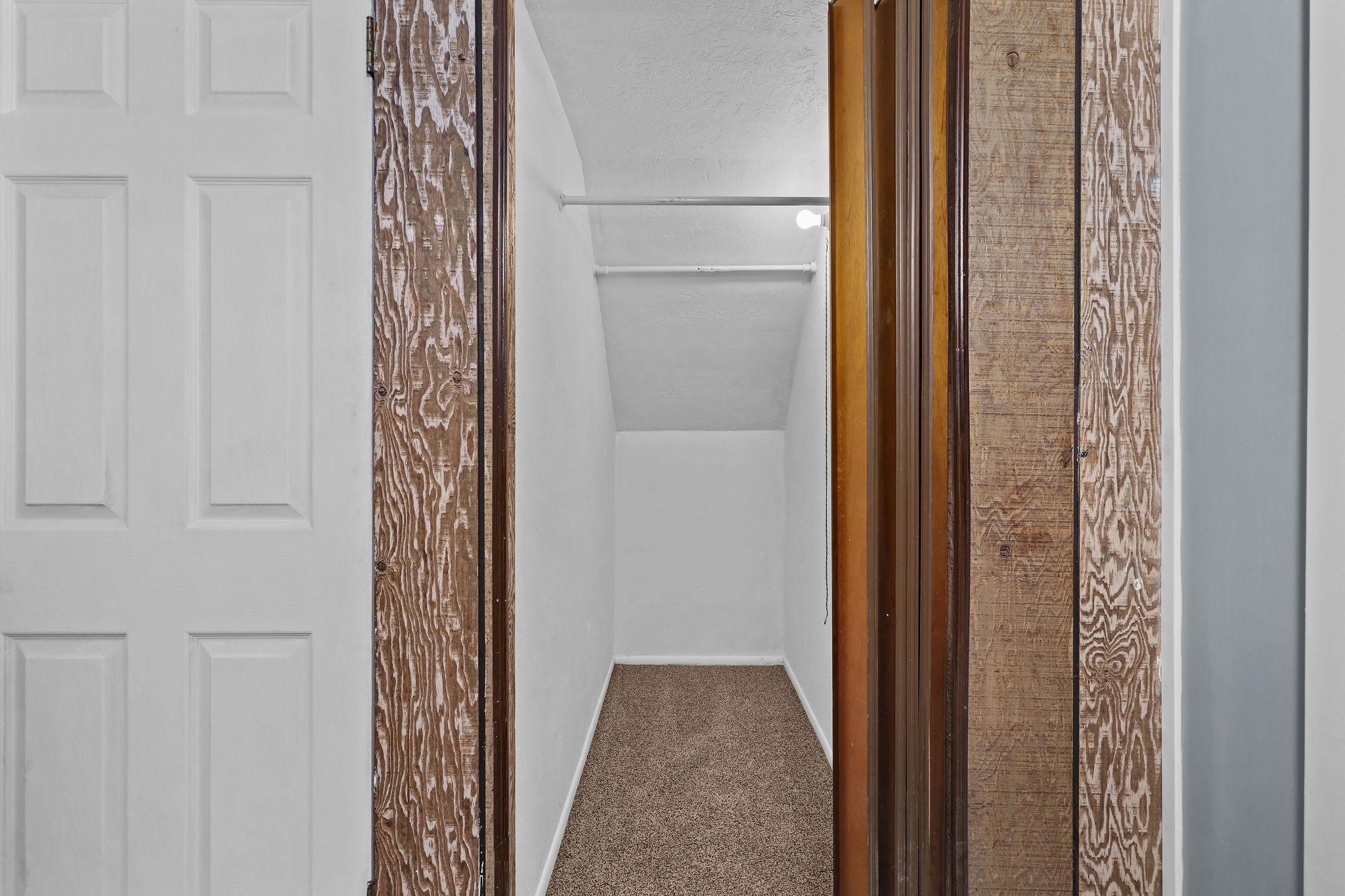 Carpeted storage area featuring white walls, sloped ceiling, and an upper shelf with a hanging rod