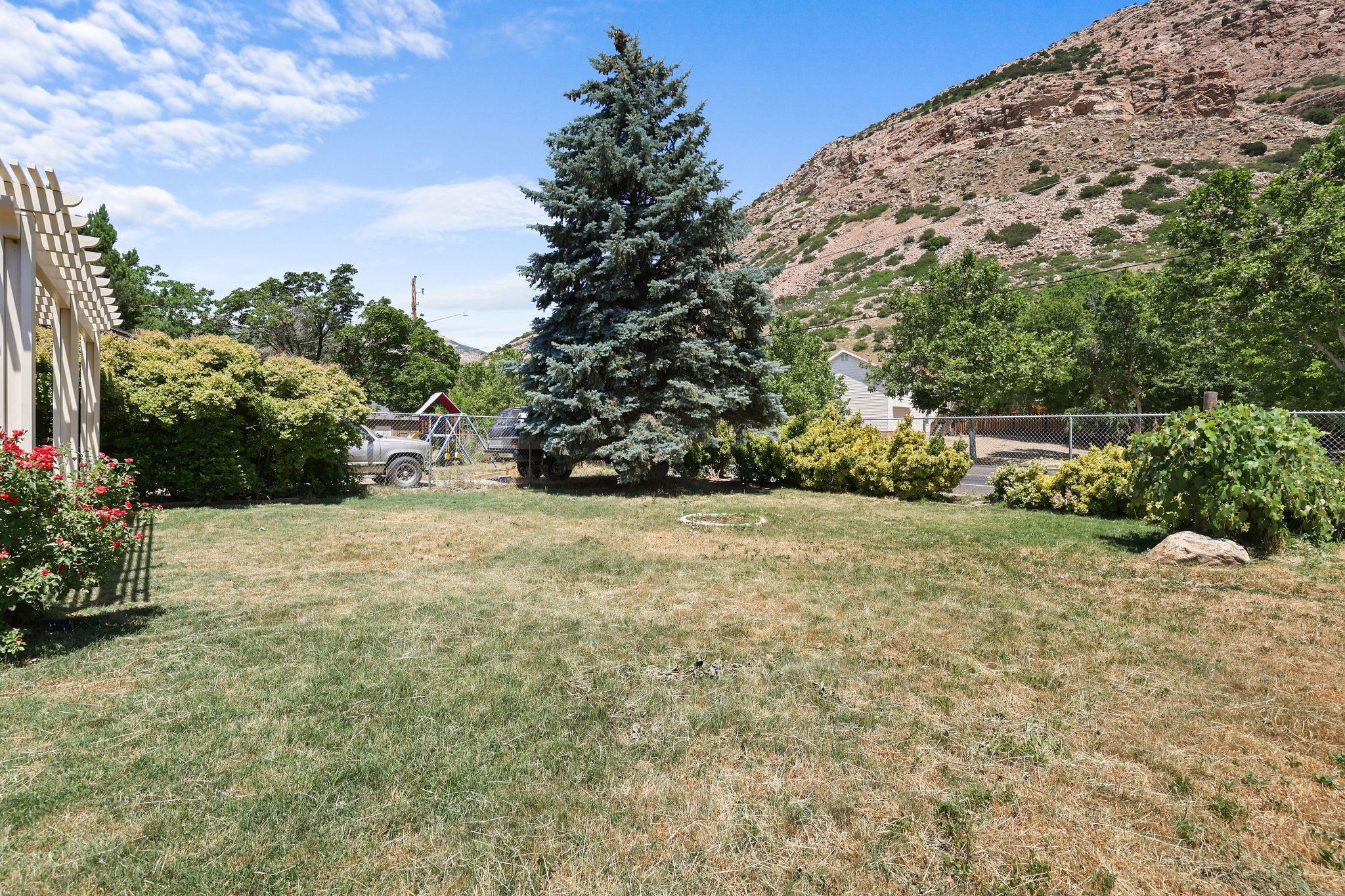 Expansive backyard featuring a mature evergreen tree