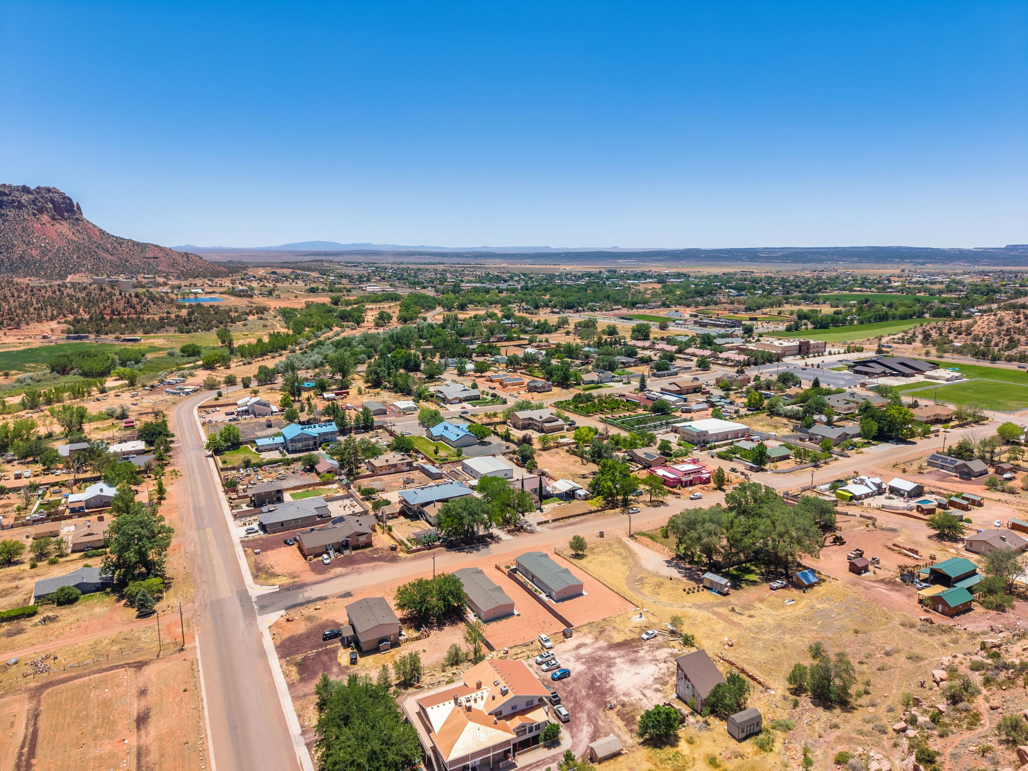 Aerial perspective showcasing a residential area with varied home styles and mature trees
