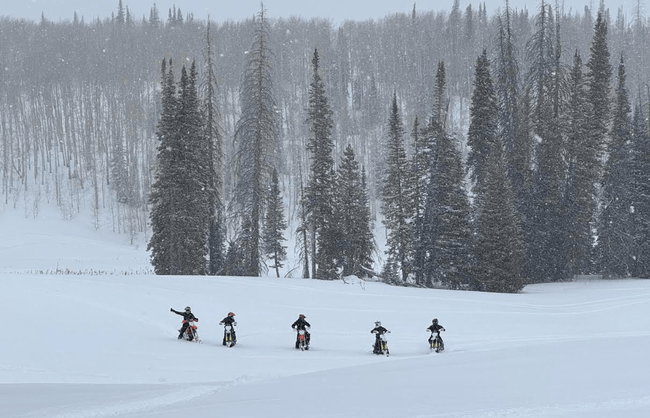 Image quality insufficient for description
